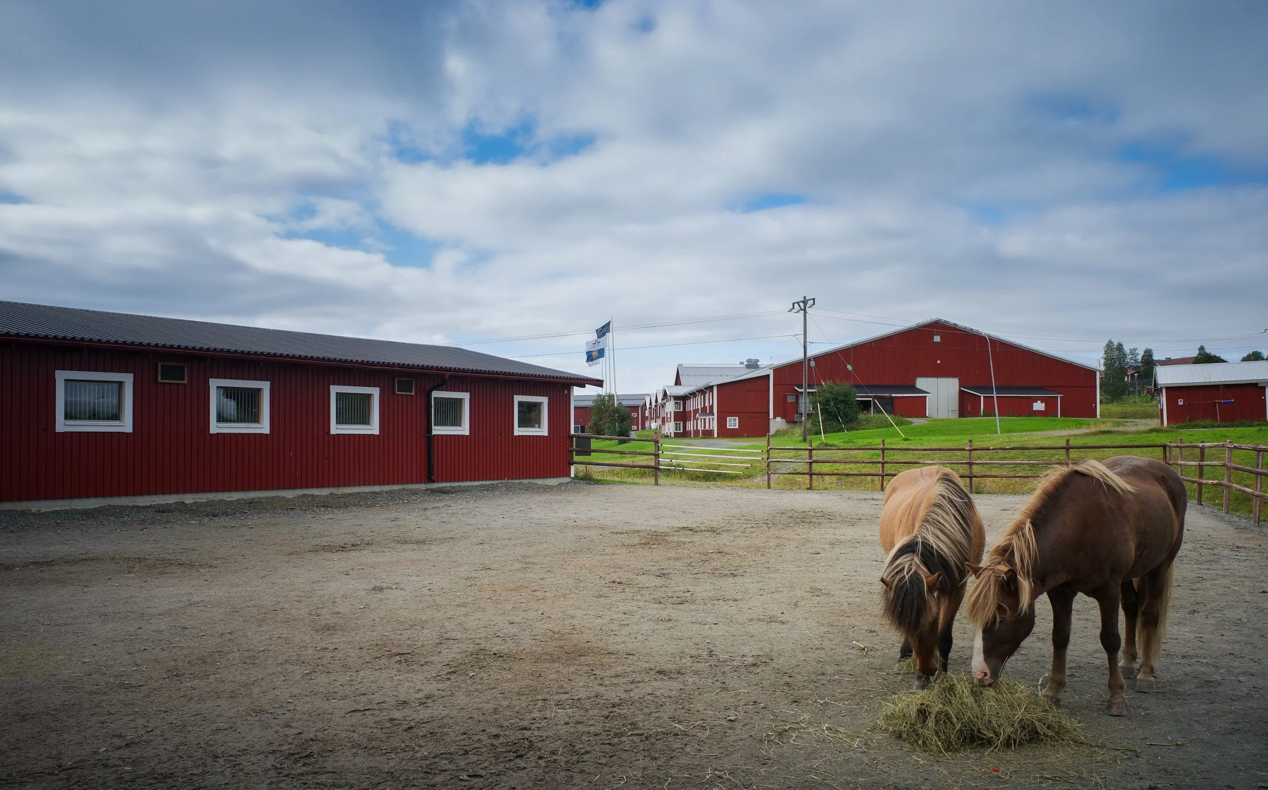 Dag 11 - Hviledag på Wången