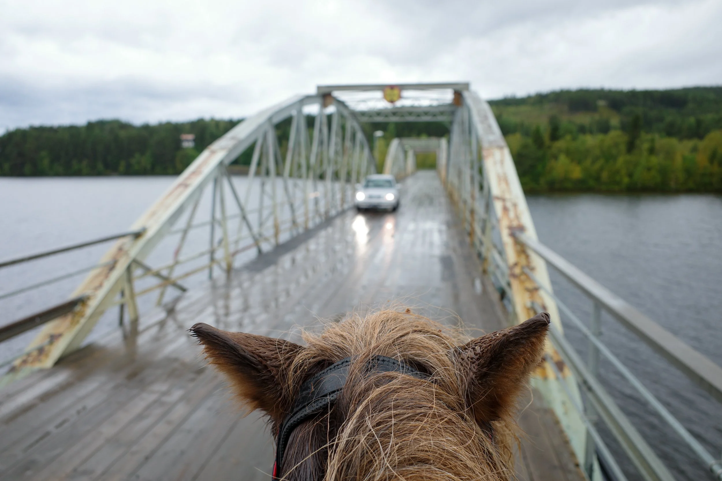 Dag 13 - Mörsil til Björnänge