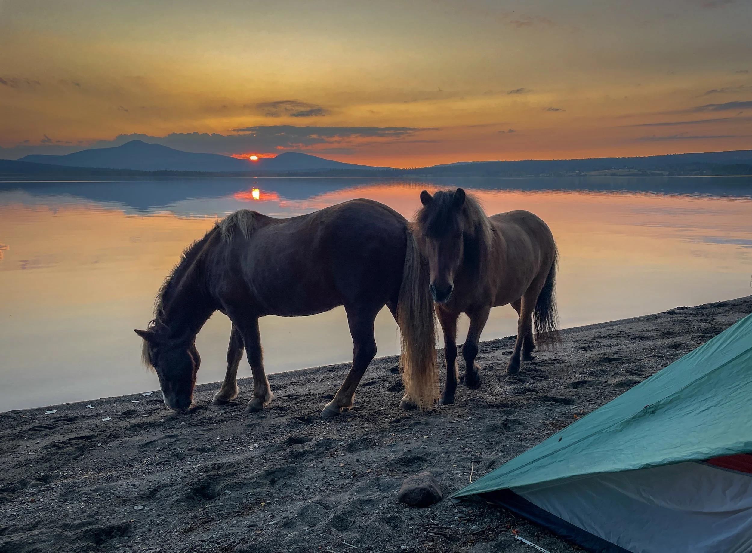 Dag 15 - Duved til Medstugvatnet