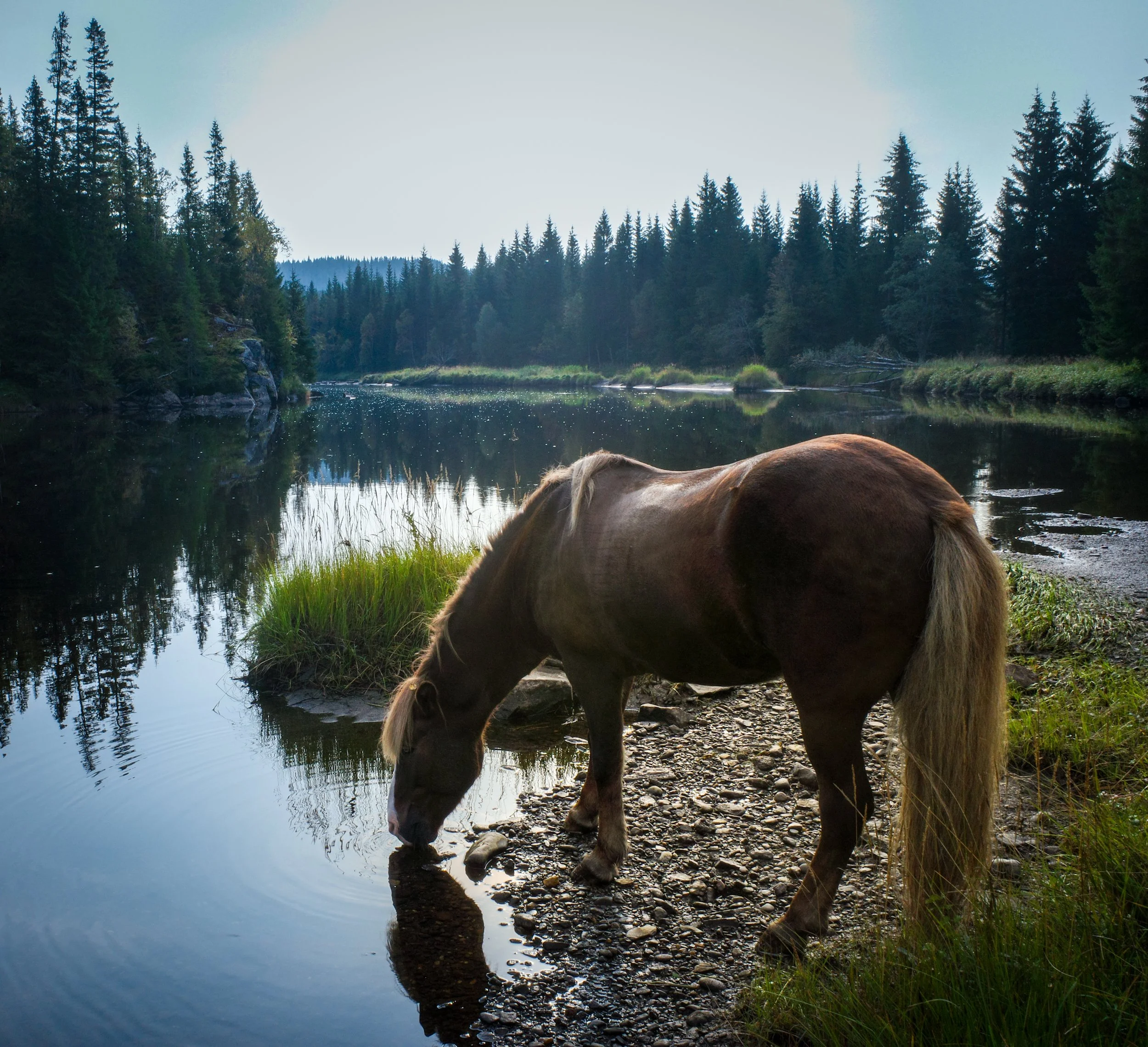 Dag 17 - Sul til Stiklestad 