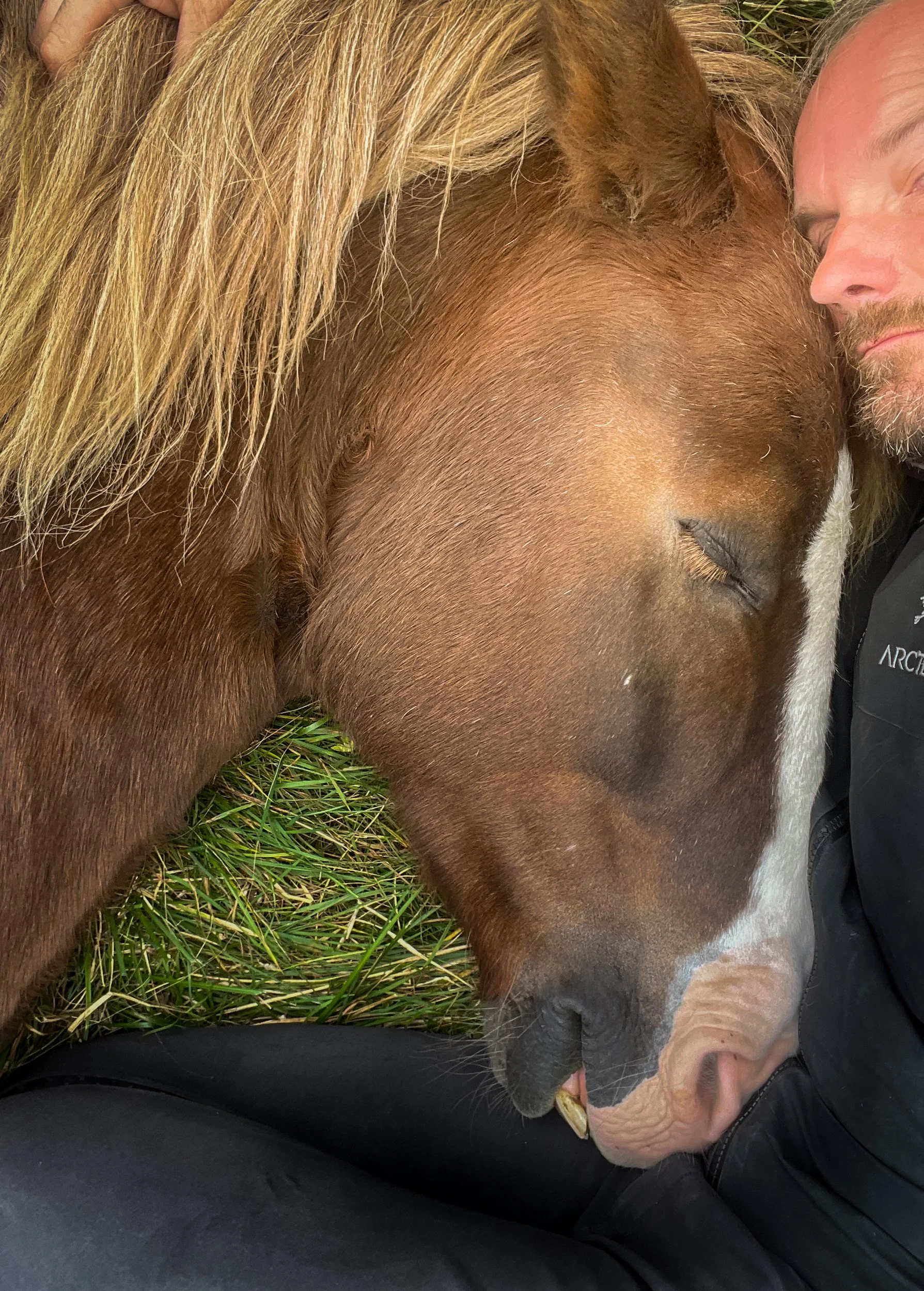 Dag 19 - Okkenhaug til Skjelstadmarka