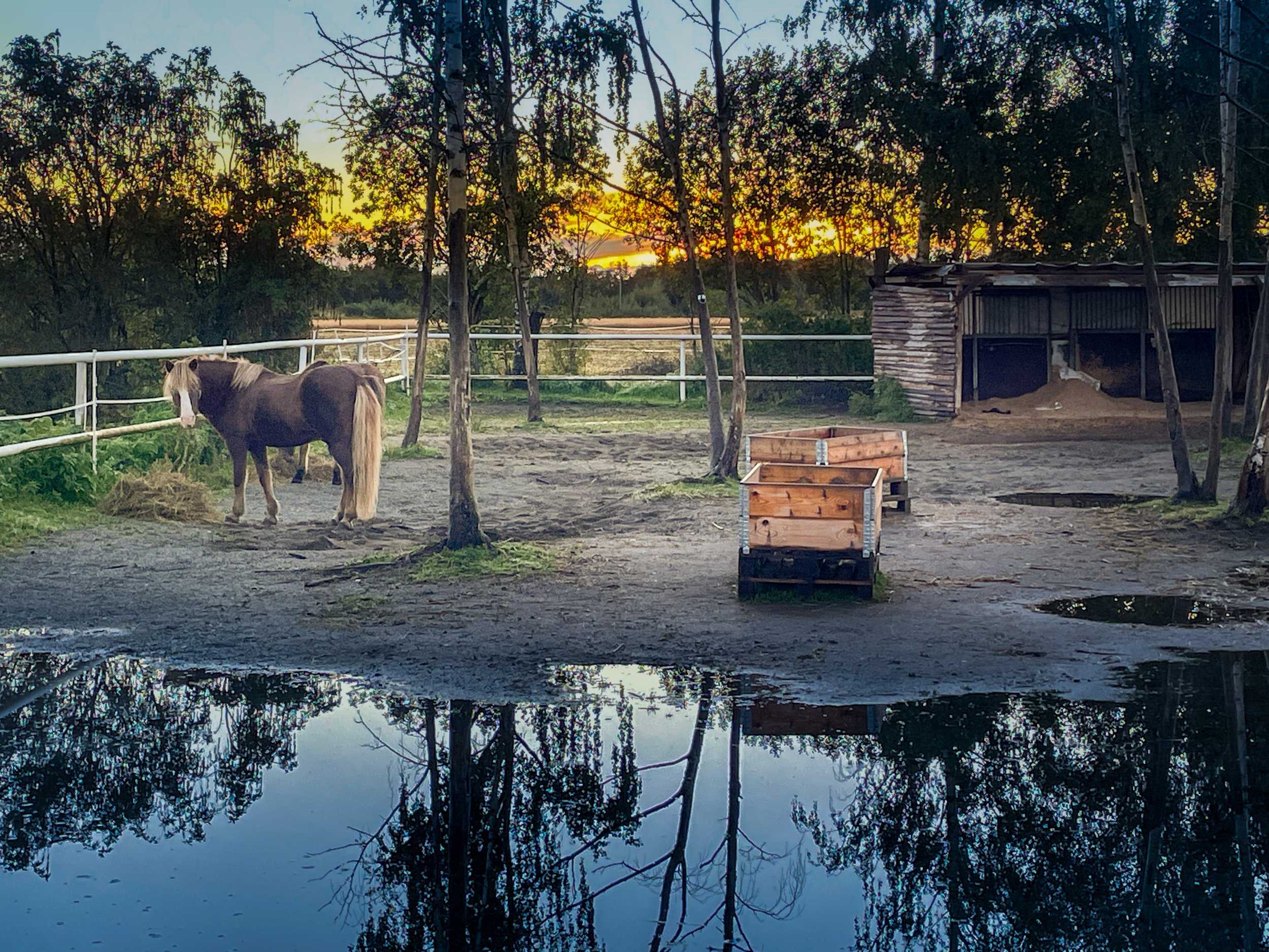 Dag 20 - Skjelstadmarka til Værnes