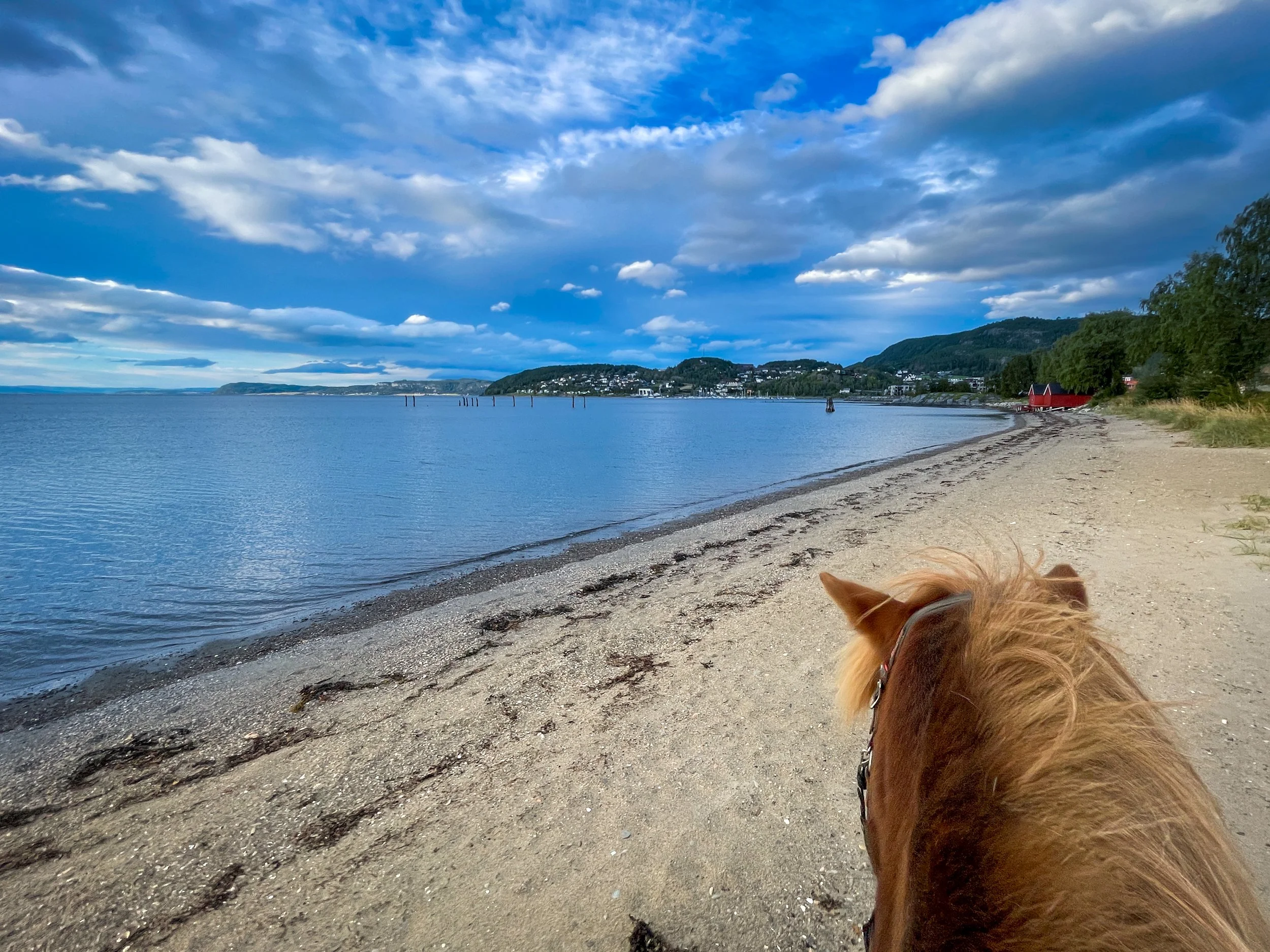 Dag 21 - Værnes til Hommelvika