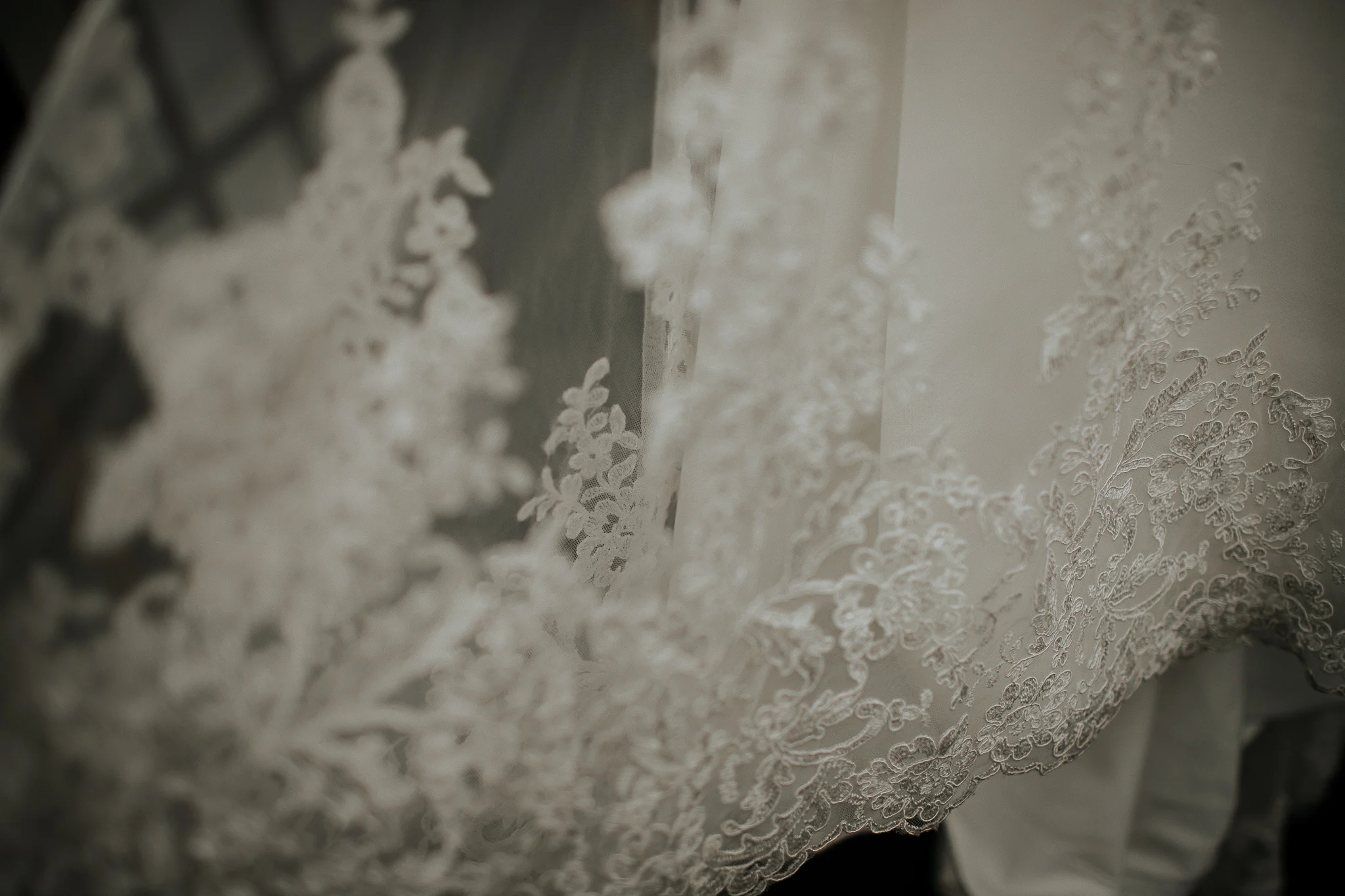 Megan-Gallagher-Photography-Columbia-Winery-Woodinville-Washinton (14).jpg