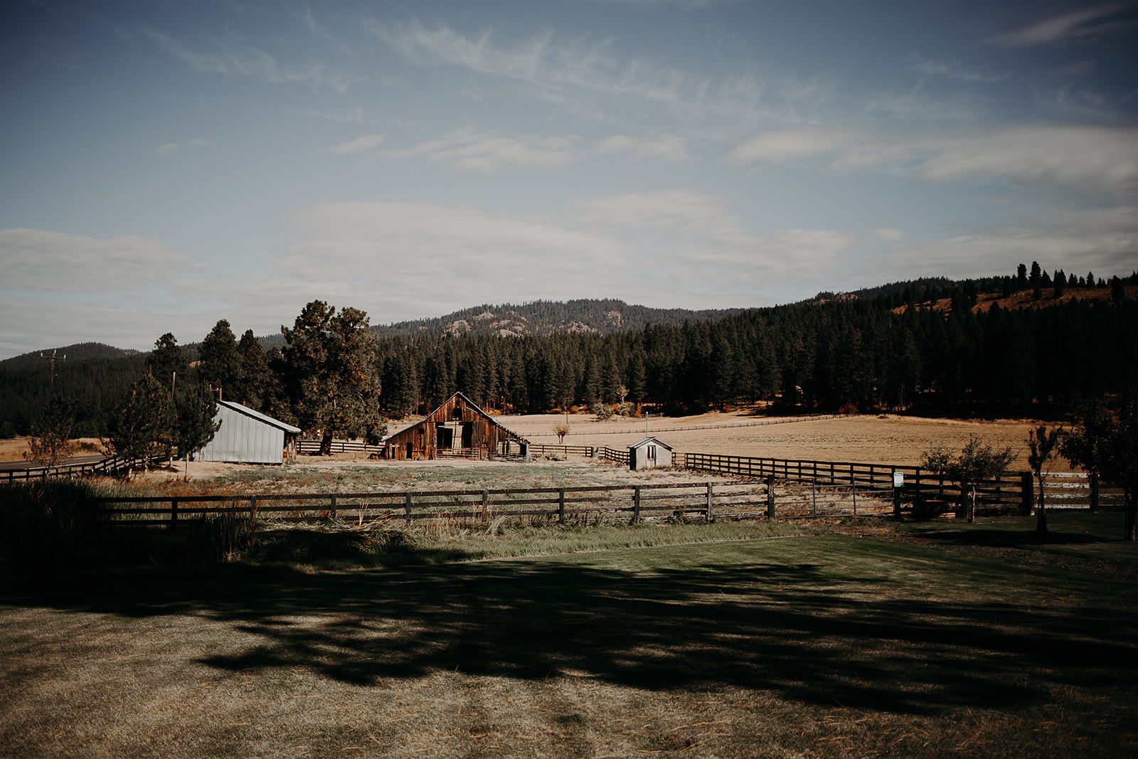 cattle-barn-wedding-cle-elum-wedding-megan-gallagher-photography-winston-salem-photographer (59).jpg