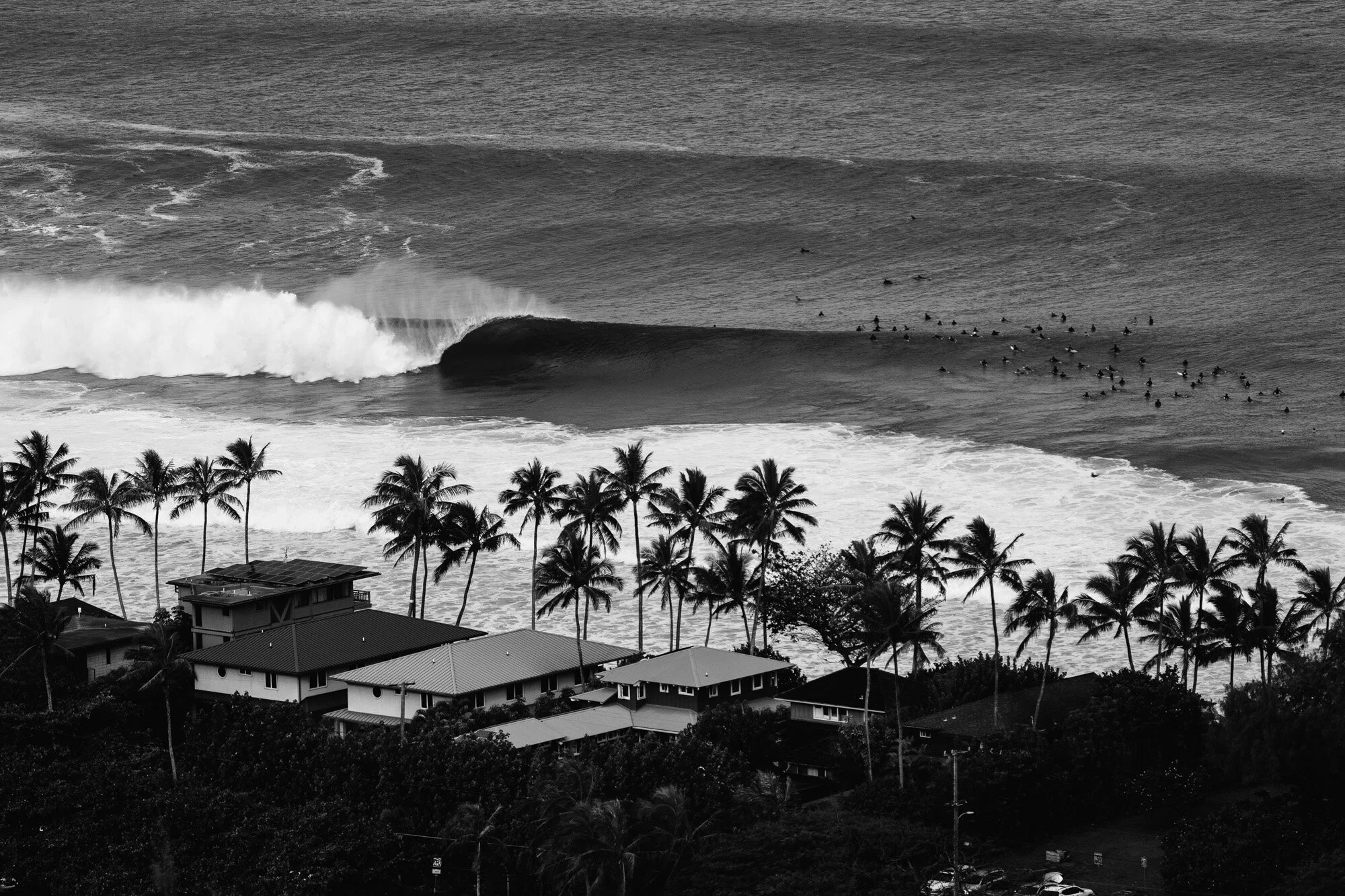 Tropical