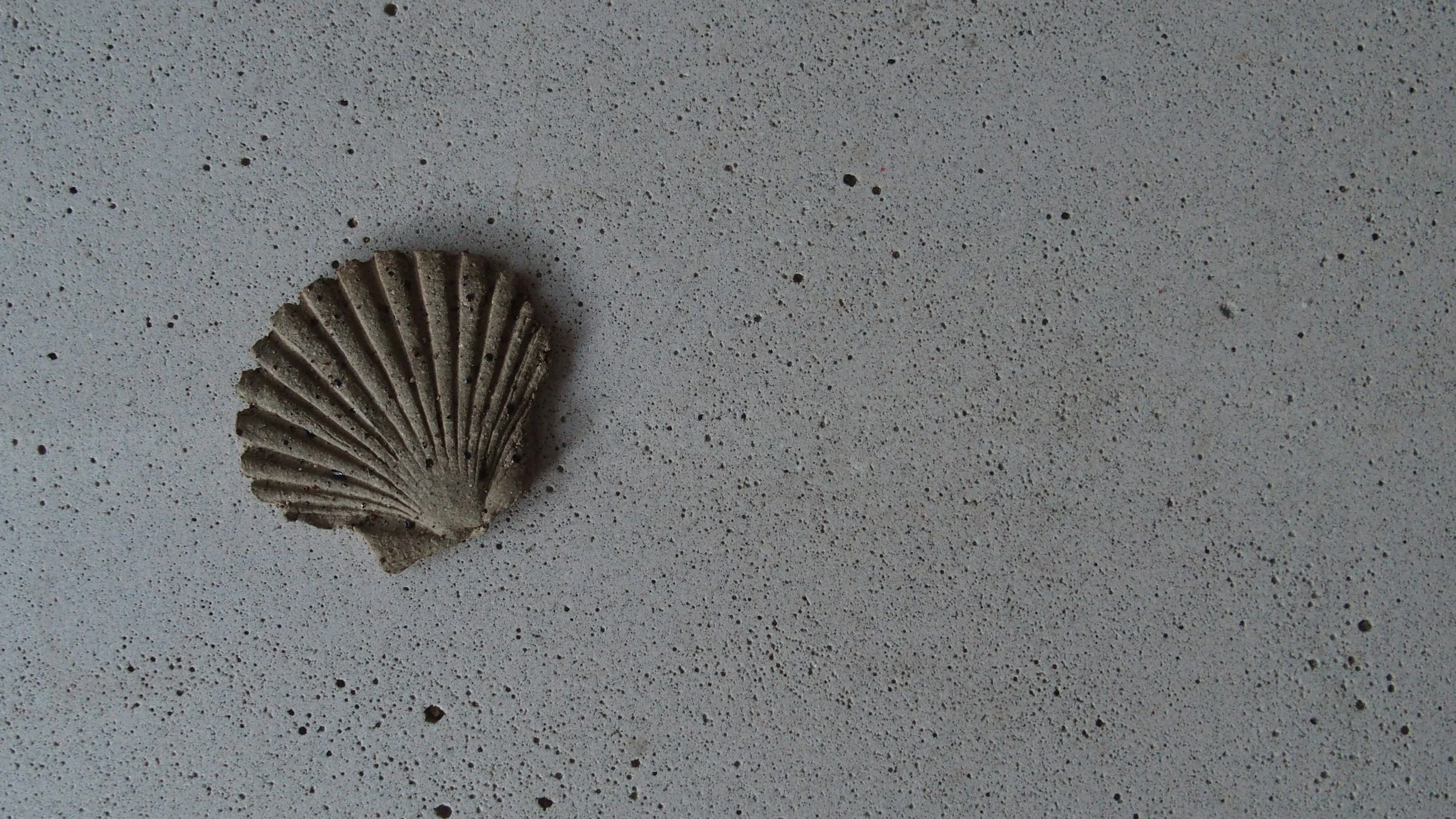Plan small shell darker.jpg