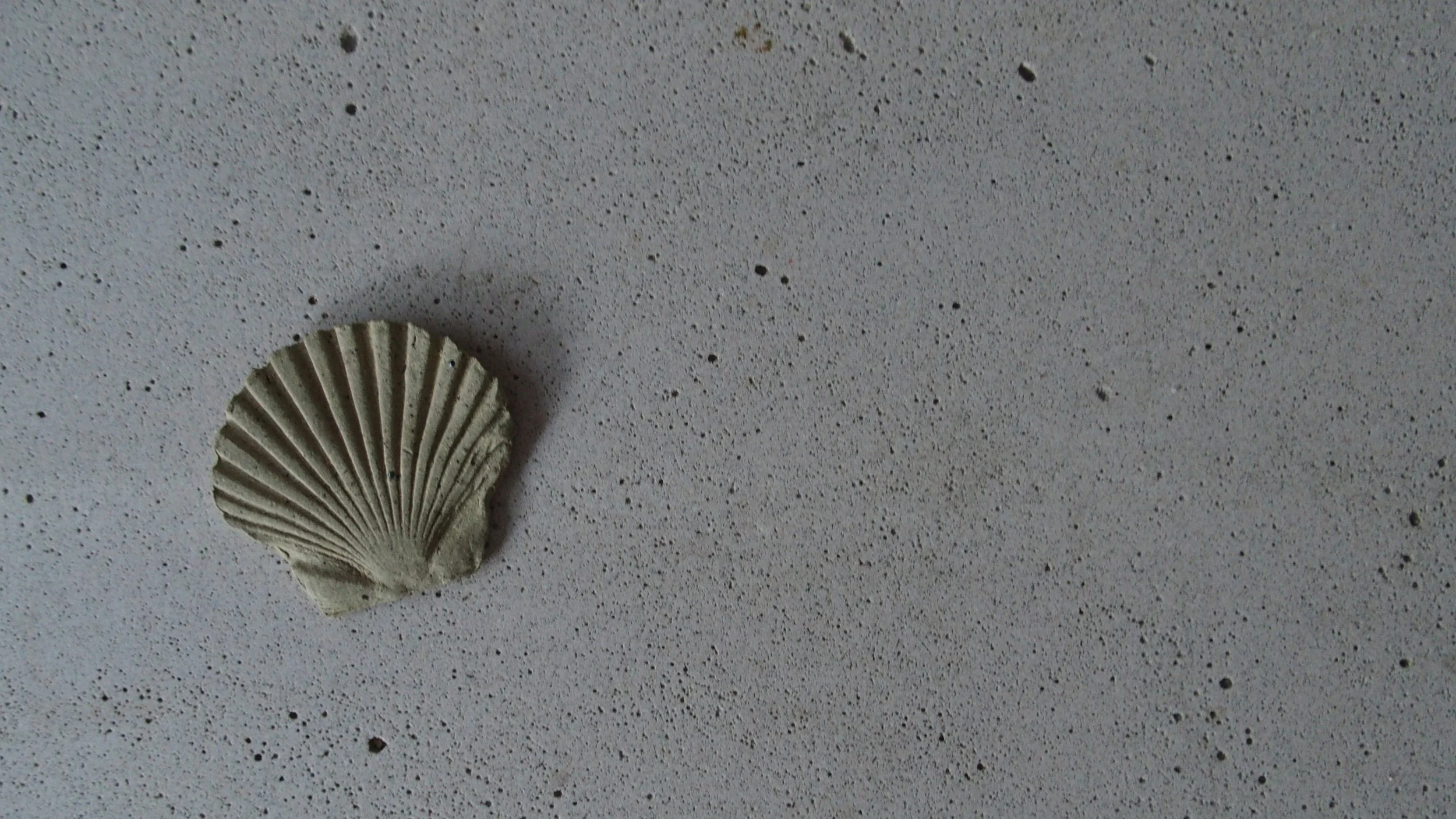 Plan small shell.jpg