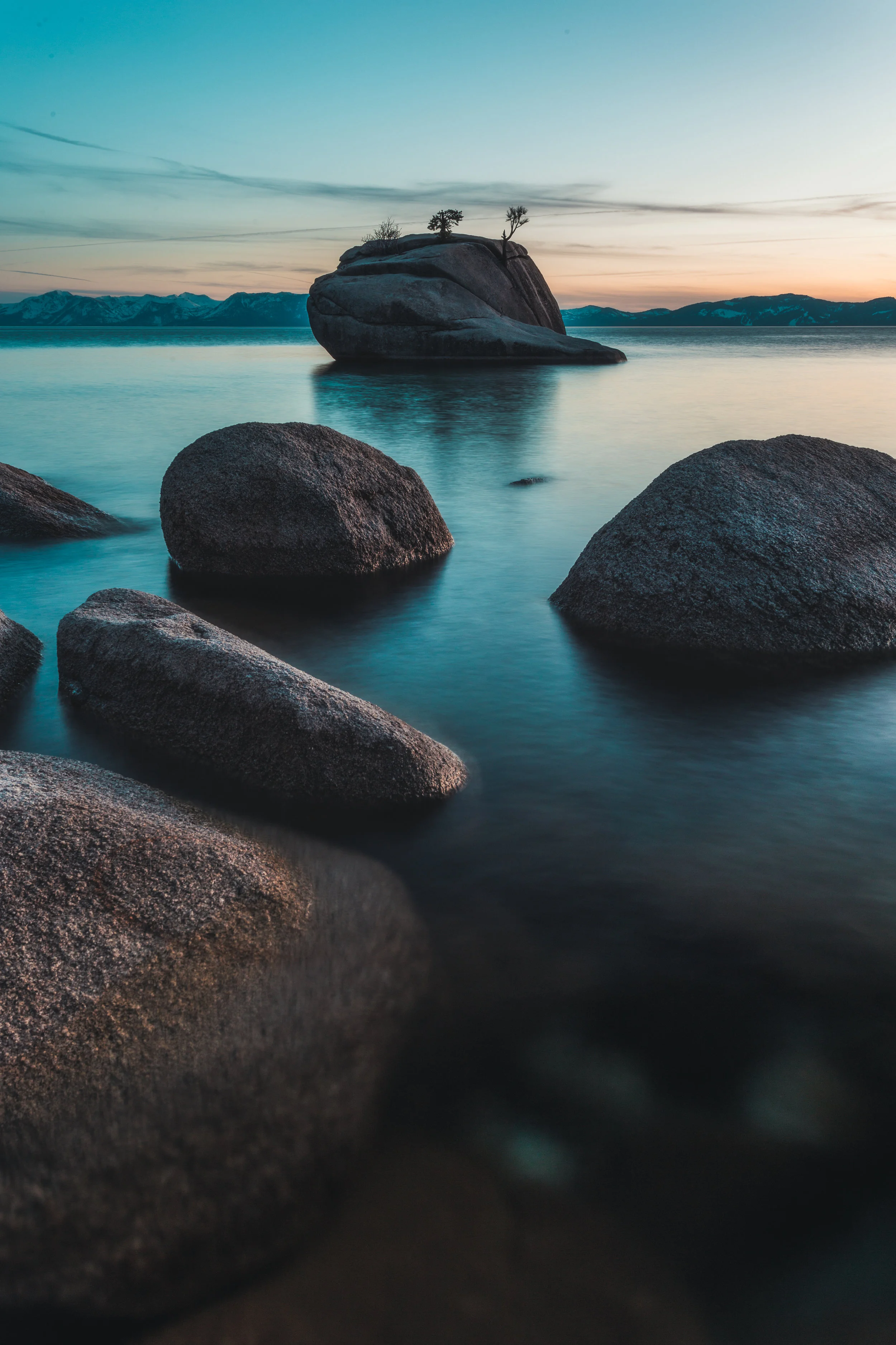 Bonsai Rock
