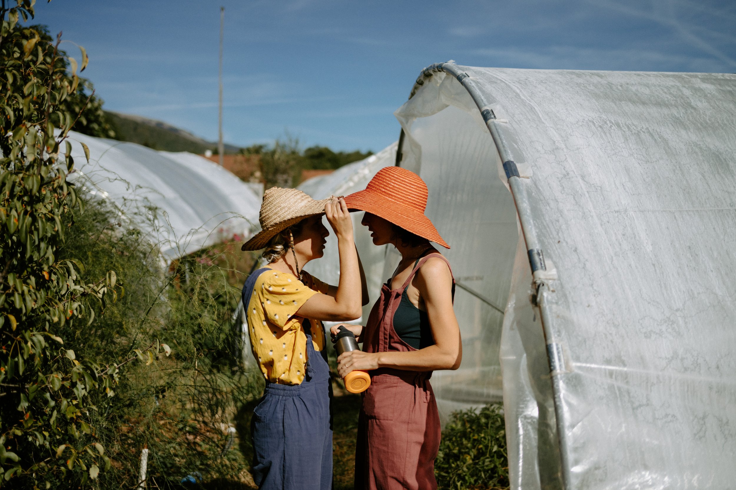 2026-09-26_cie_infusion_omqd_ferme_des_vents_renaud_049.jpg