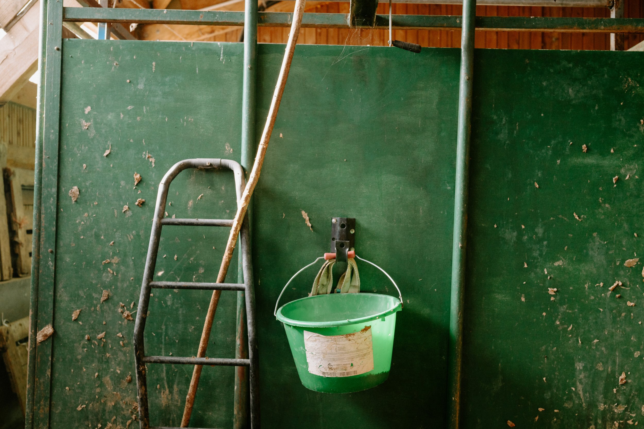 2026-09-27_photo_renaud_CI_tournee_velo_saint_guillaume_0270_print.jpg