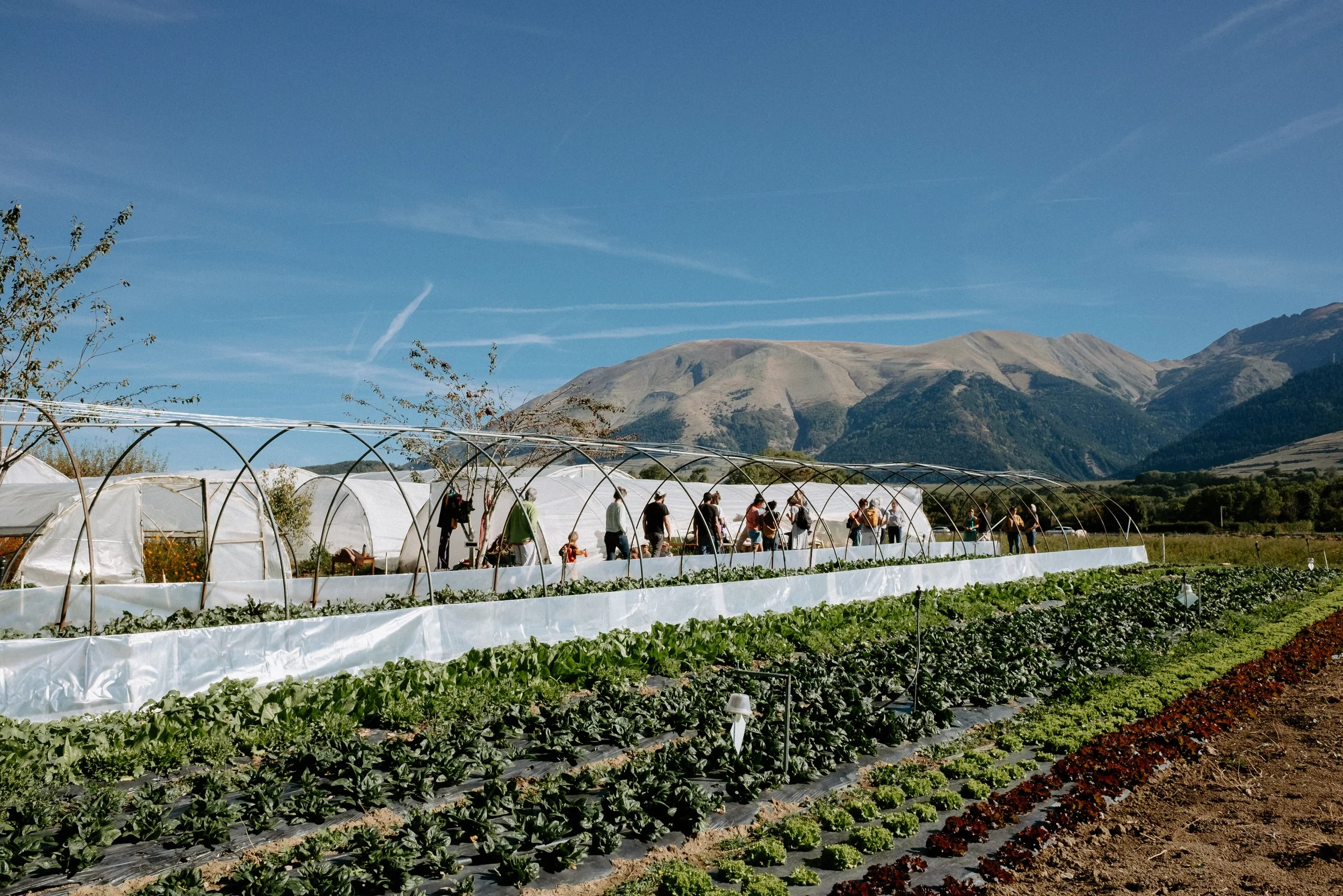 2026-09-26_cie_infusion_omqd_ferme_des_vents_renaud_006.jpg