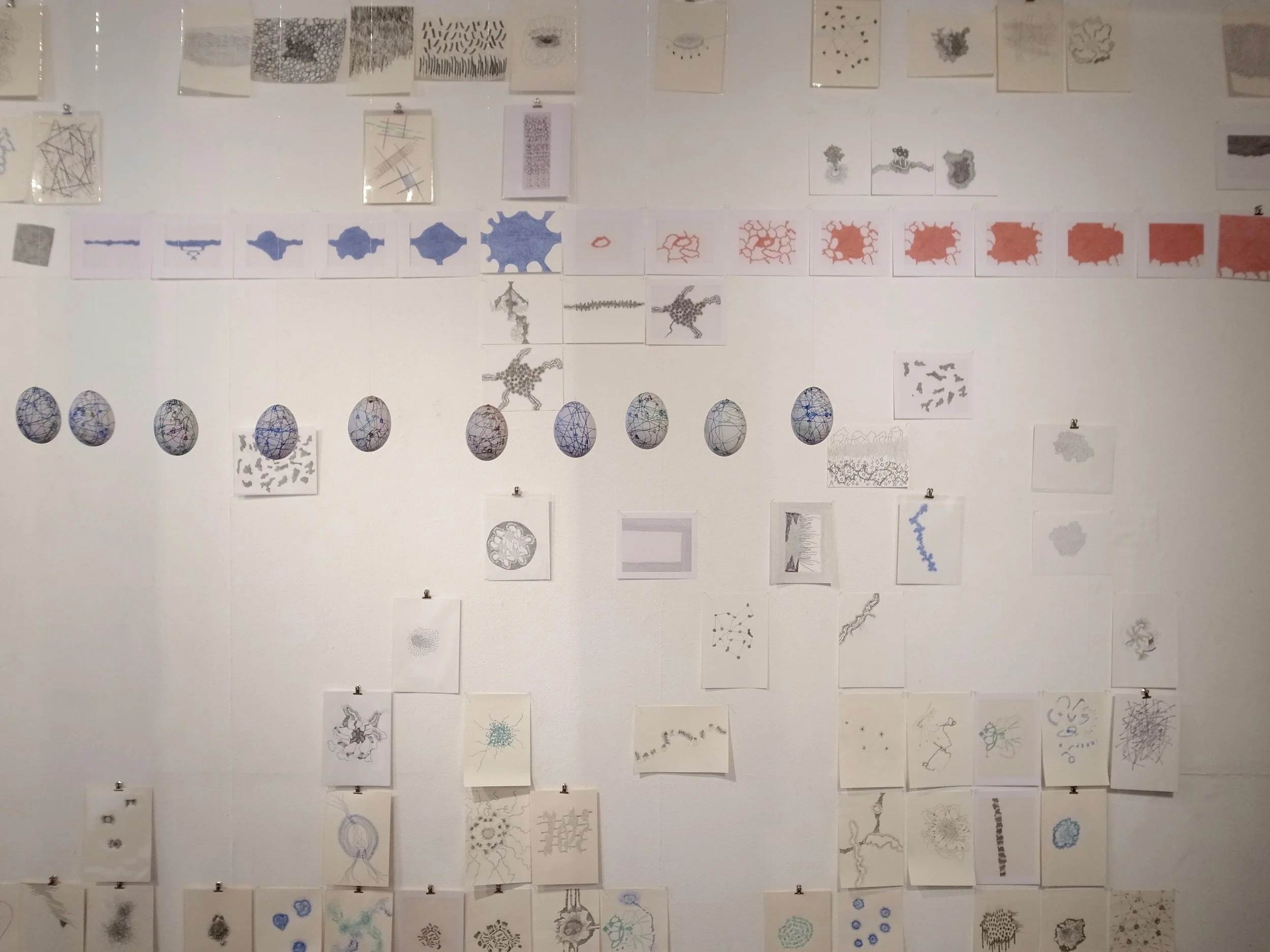 「私の日常生活」個展 hasu no hana 2016年12月4日-16日