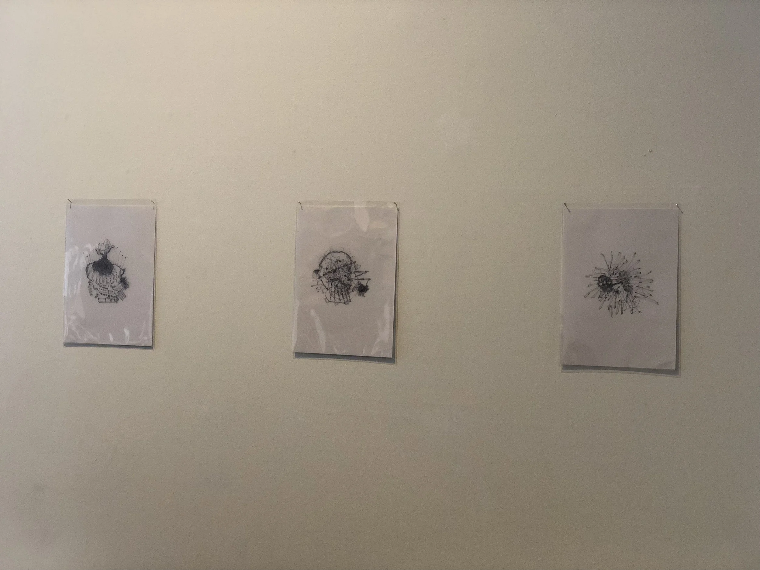 写真 2019-07-31 17 44 13.jpg