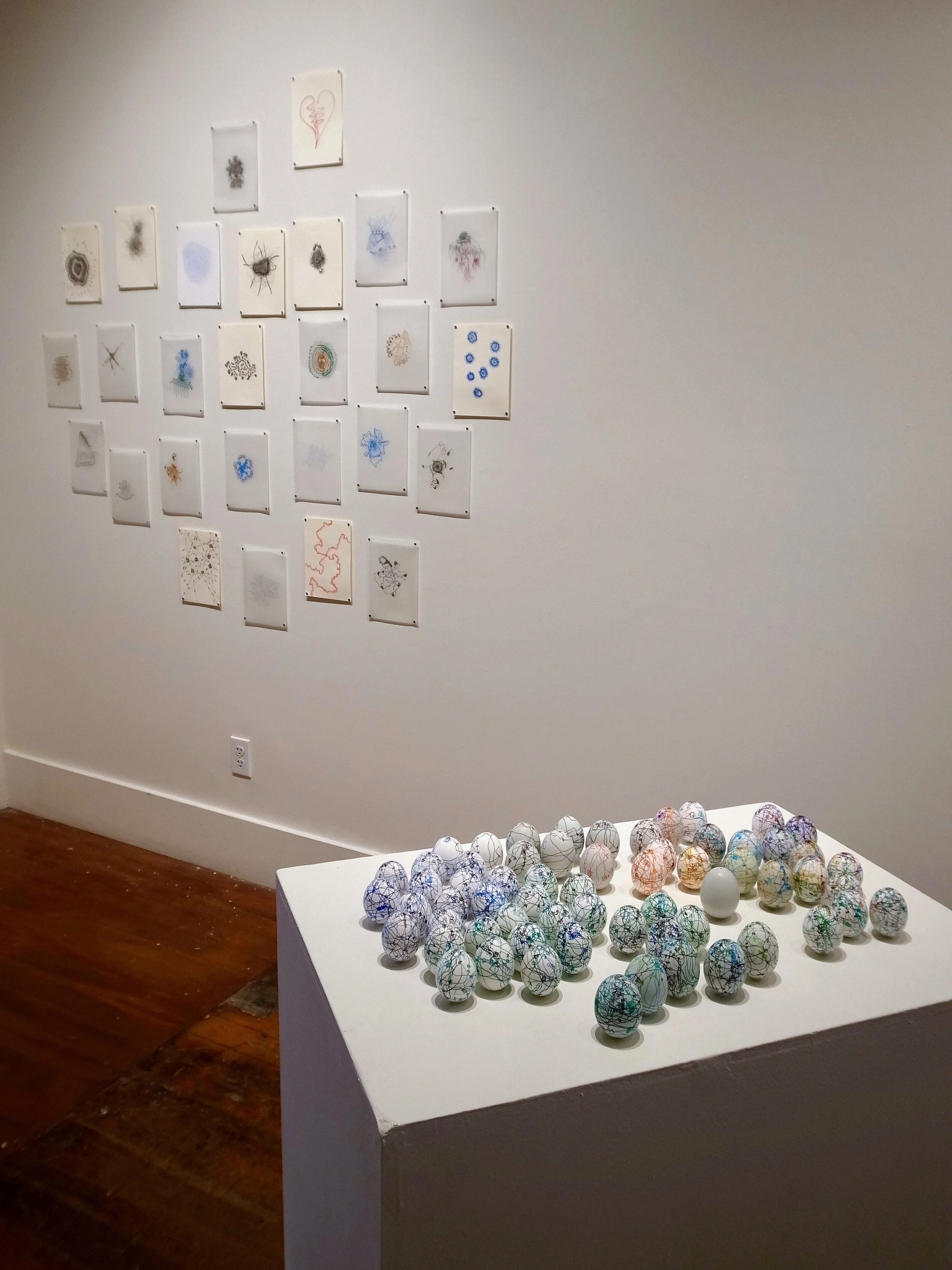 Fundamental Complications at Root Division, November 7 - December 4, 2019