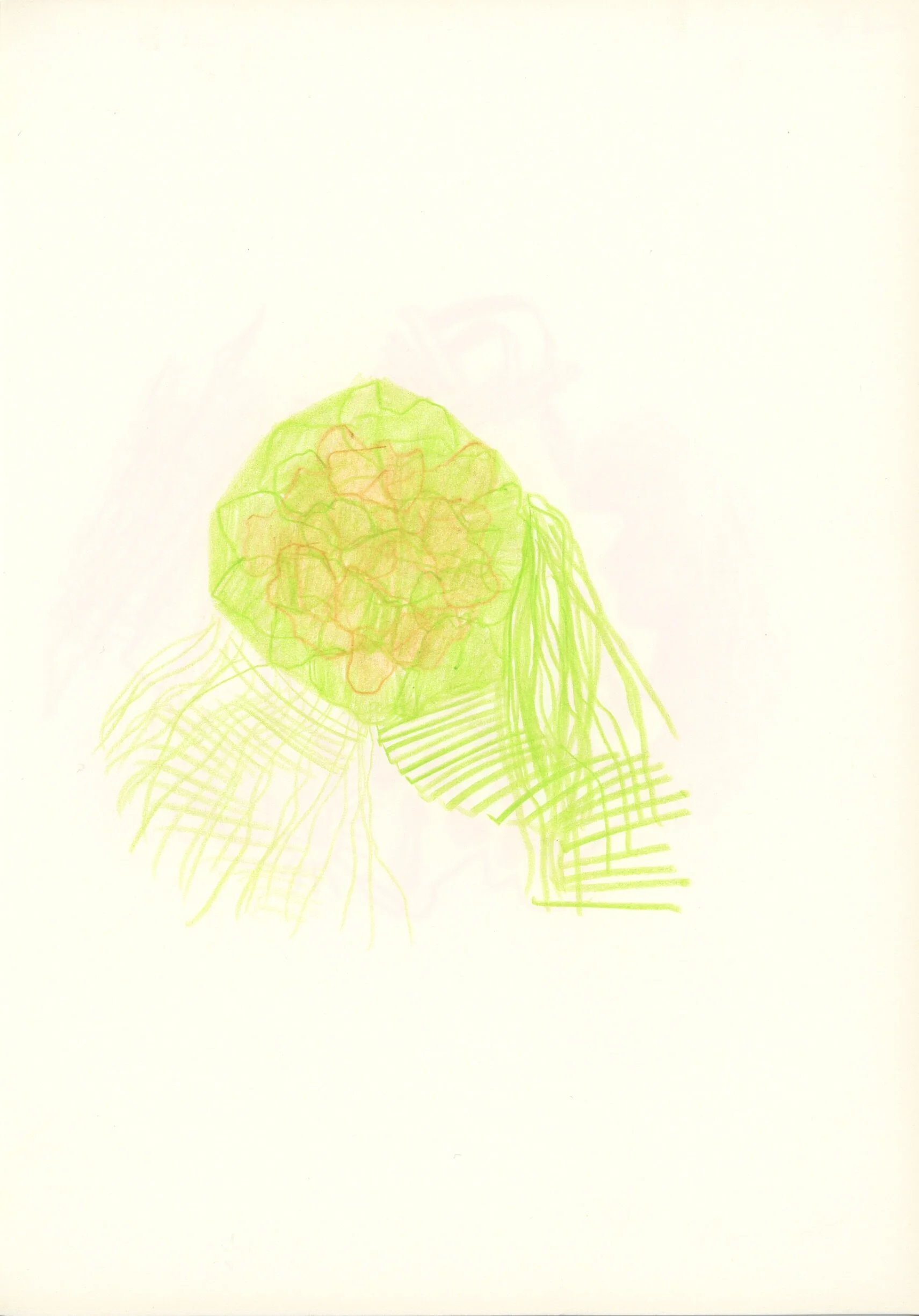 0303 103 ザ ローズバッドズ The Rosebuds Arthur J Huang アーサー ファン