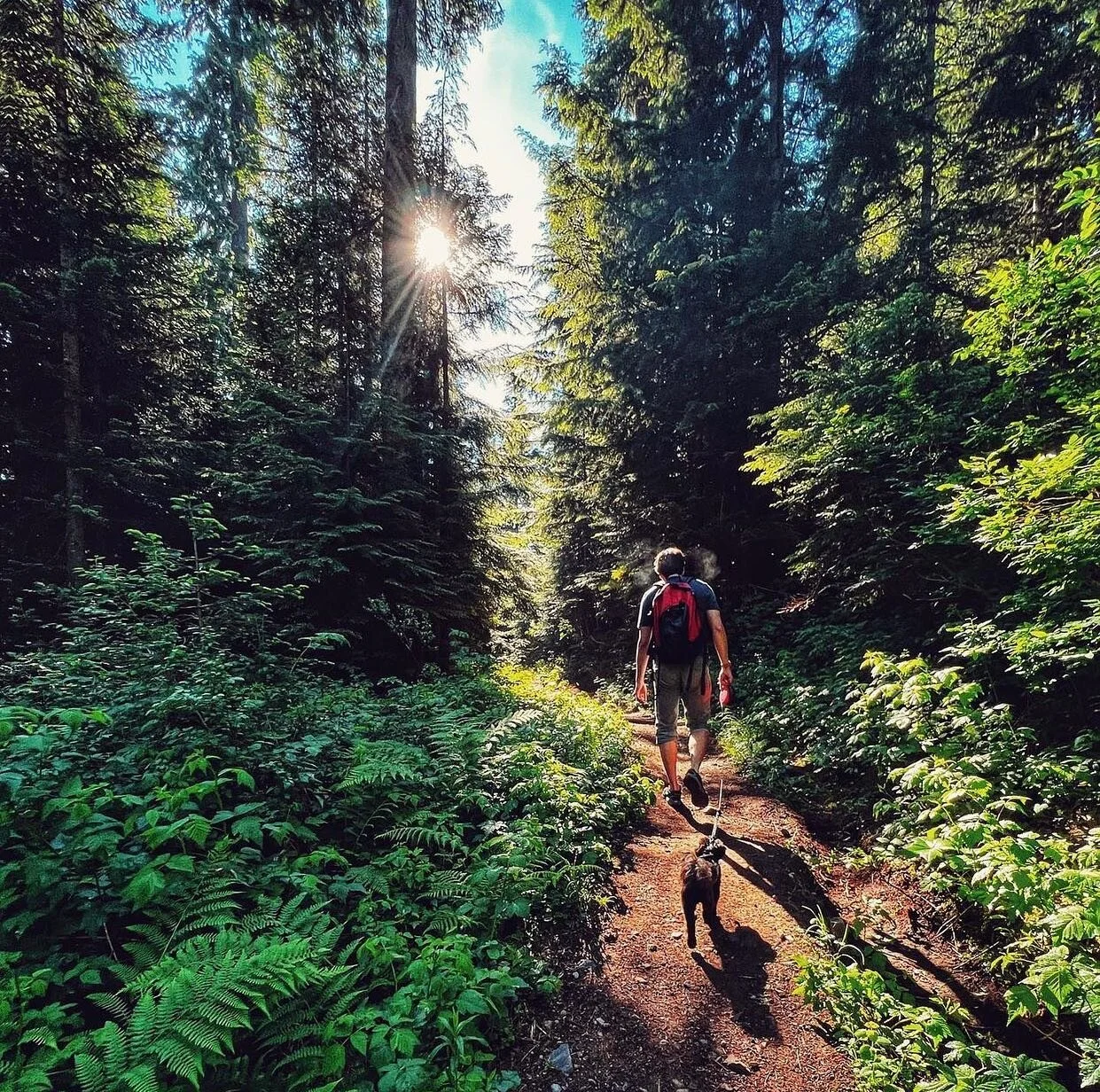 What a great weekend to be in the woods! 🌲#thepasslife 📷: @helloterumi
