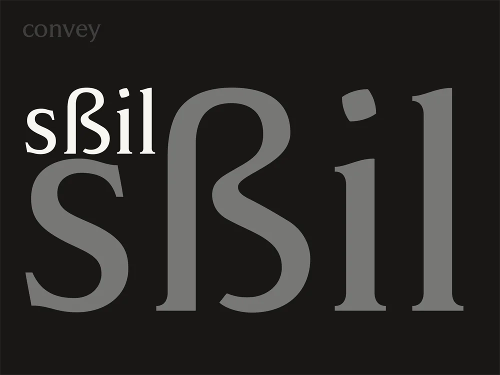 Christine Lange Interview Designmadeingermany Gabriele Lenz Font Convey