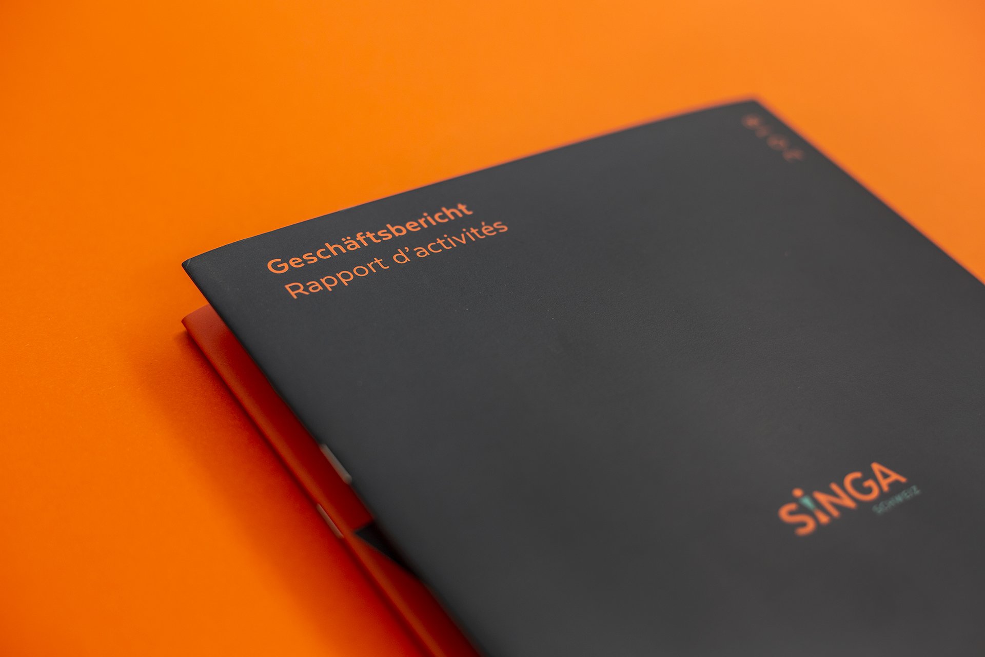 SINGA Geschäftsbericht