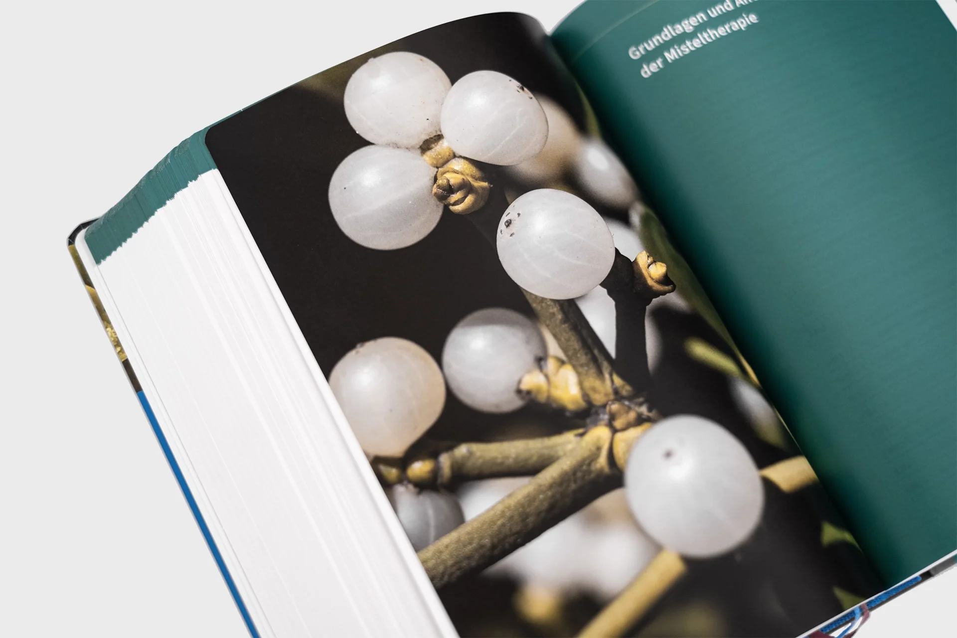 Christine Lange Buchgestaltung Vademecum Anthroposophische Arzneimittel GAÄD Der Merkurstab