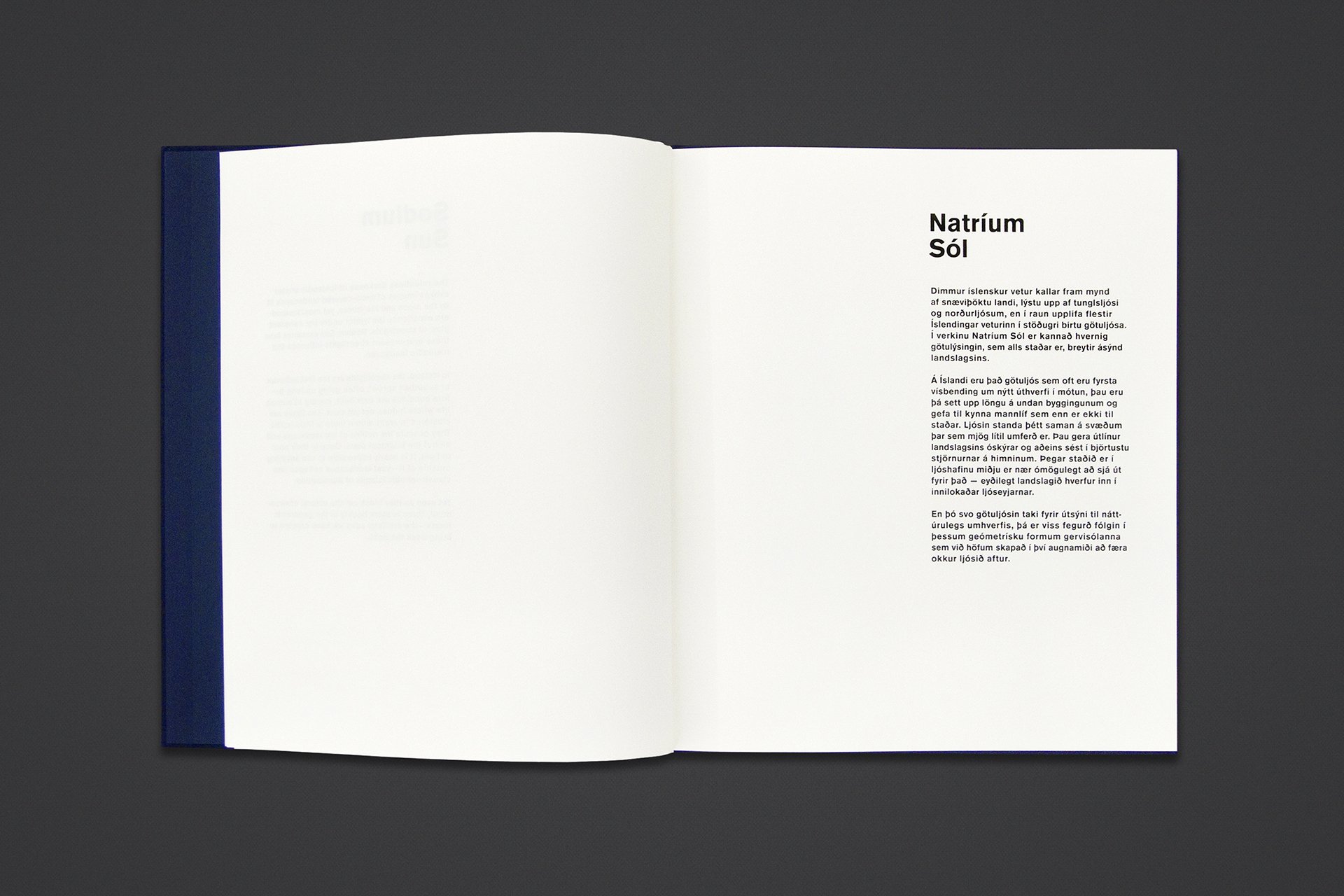 Christine_Lange_Editorial_Design_Buchgestaltung_Sodium_Sun_05.jpg
