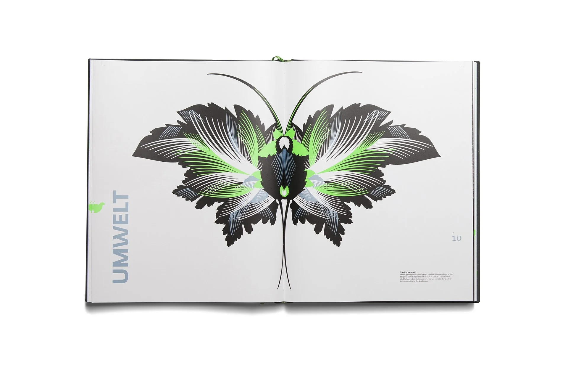 Christine_Lange_Editorial_Design_Buchgestaltung_Papilionis_07.jpg