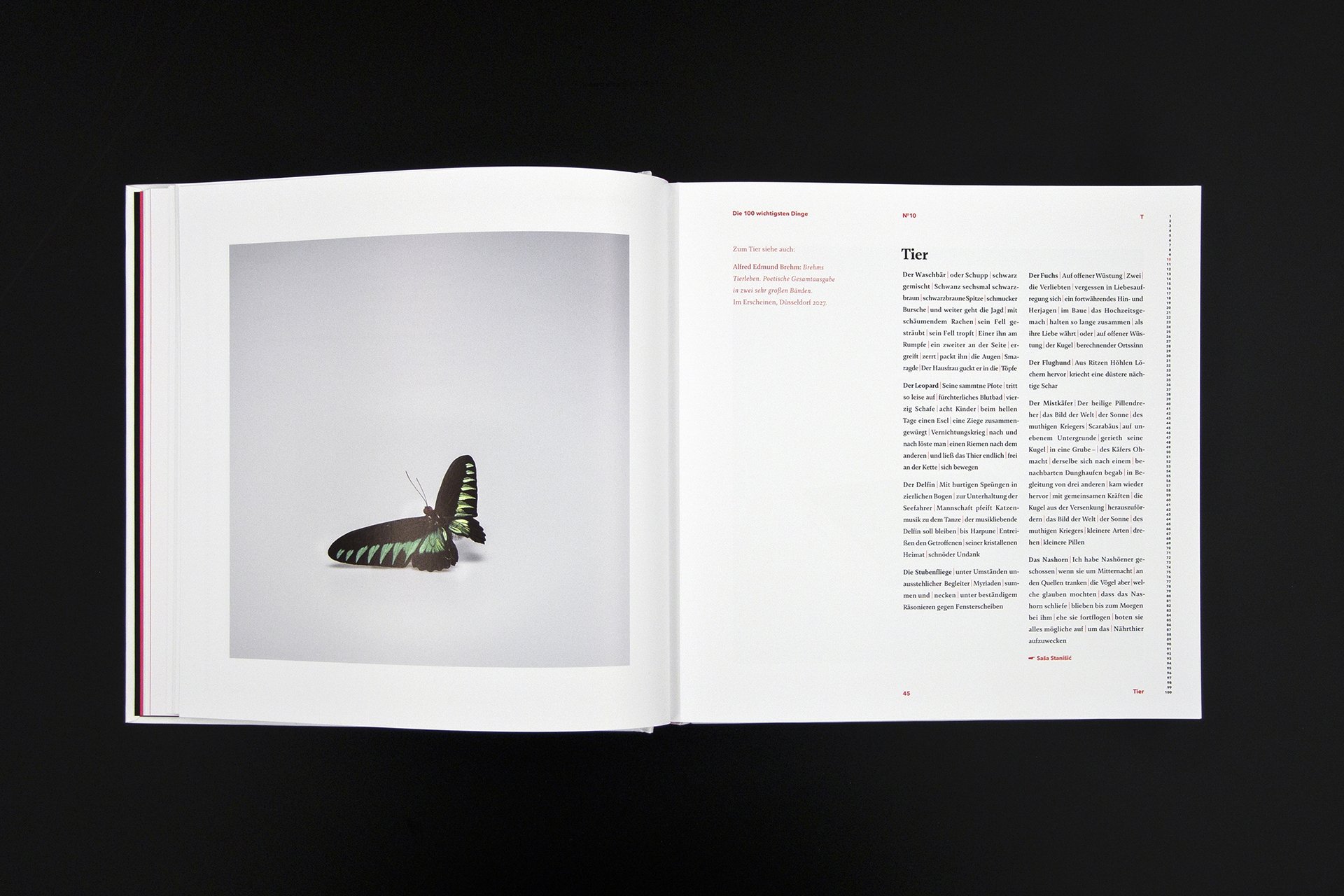 Christine Lange Editorial Design Buchgestaltung Die 100 Wichtigsten Dinge Hatje Cantz Verlag