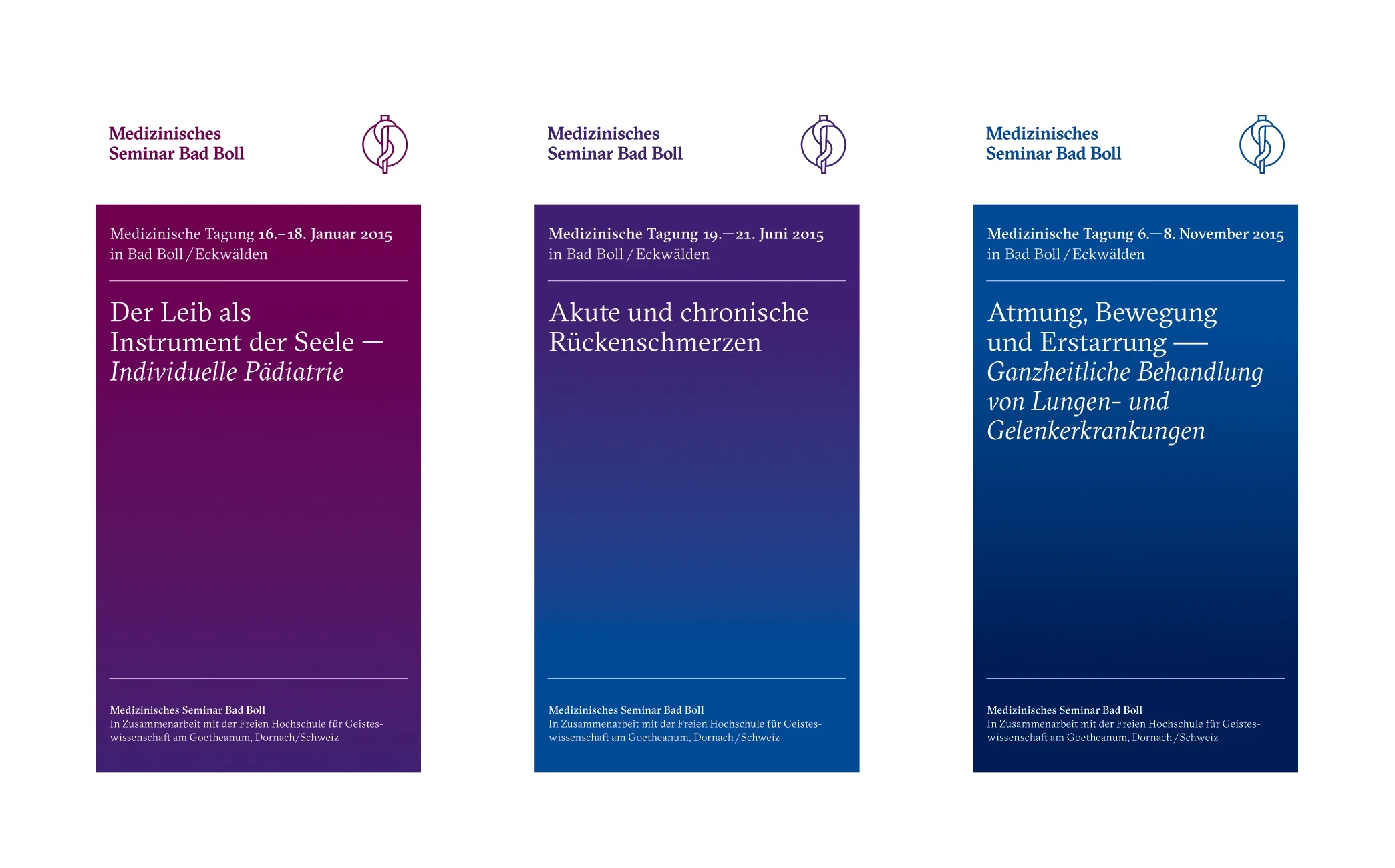Medizinisches Seminar Bad Boll Logo Design Redesign Programmflyer Corporate Design