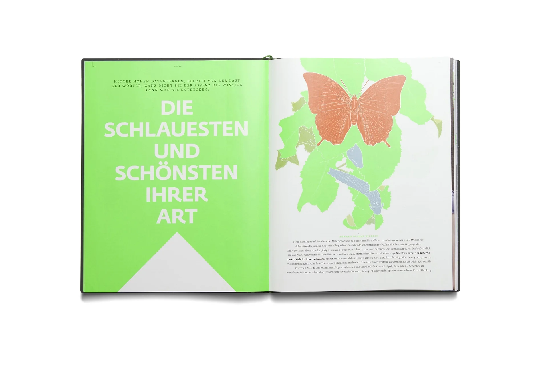 Christine_Lange_Editorial_Design_Buchgestaltung_Papilionis_03.webp