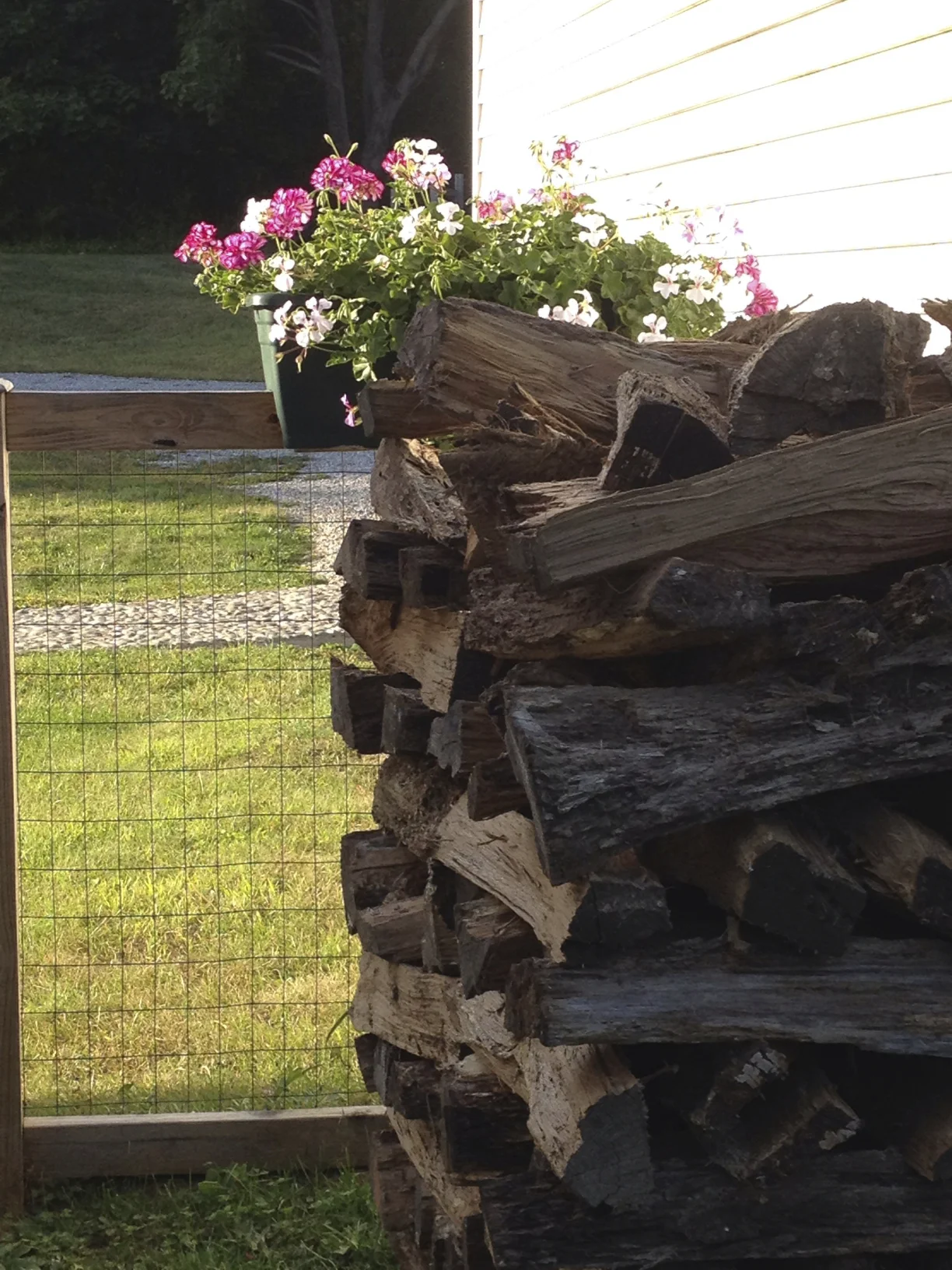 Fall, Wonderful Fall