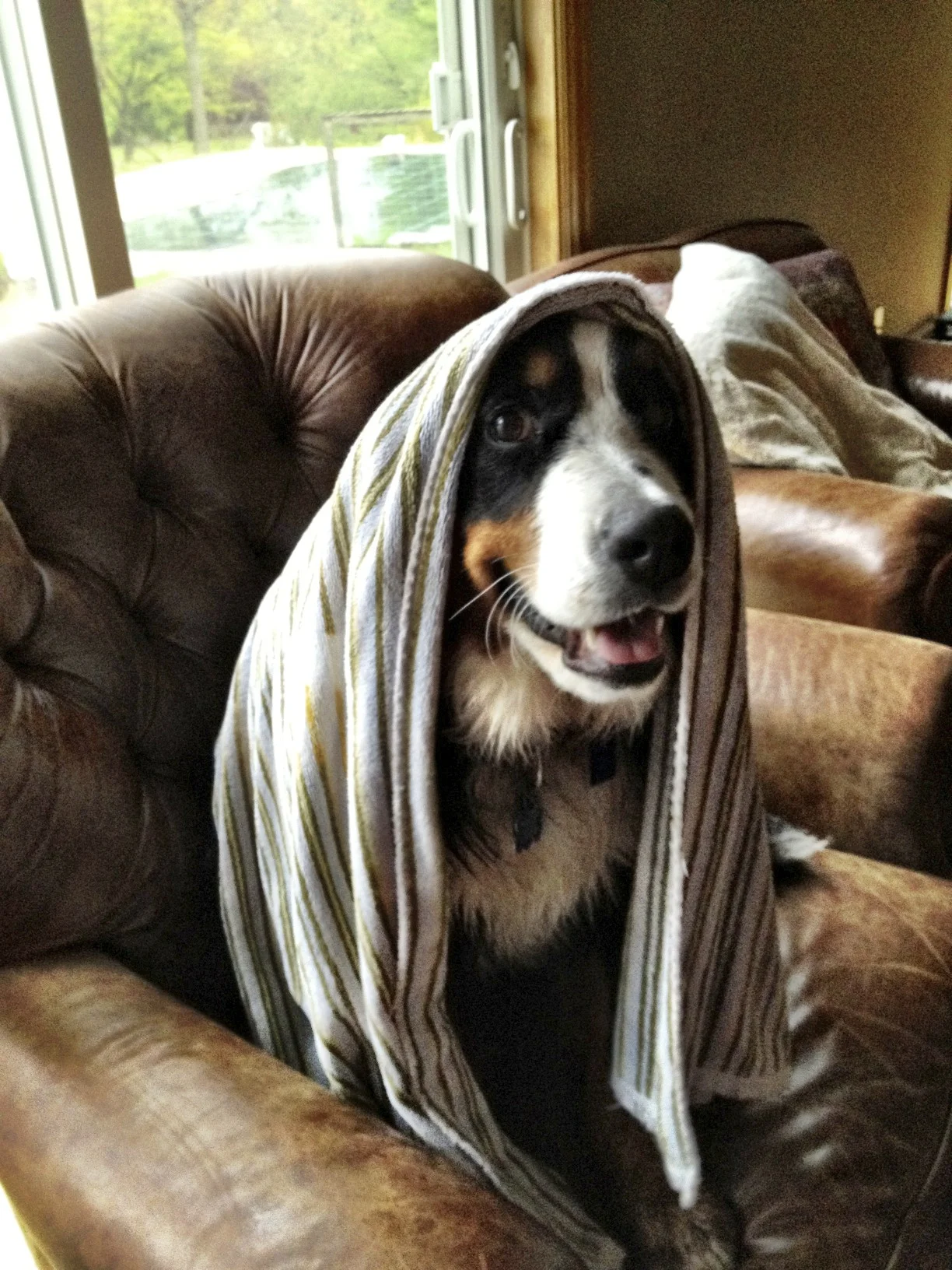 Maid Marian