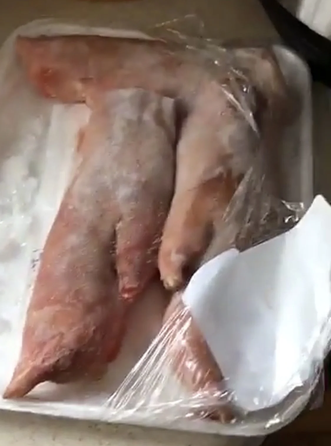 This was an item on my list. Can you guess what it is? 😬 Here's a hint: 🐷🐽 