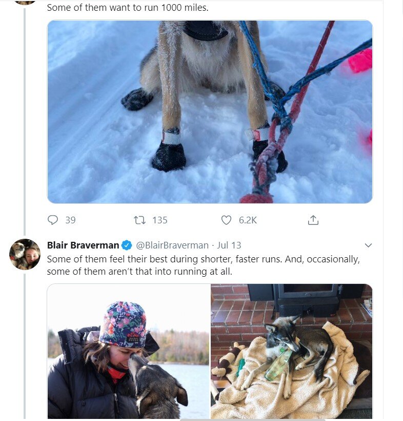 sled dogs 7.jpg