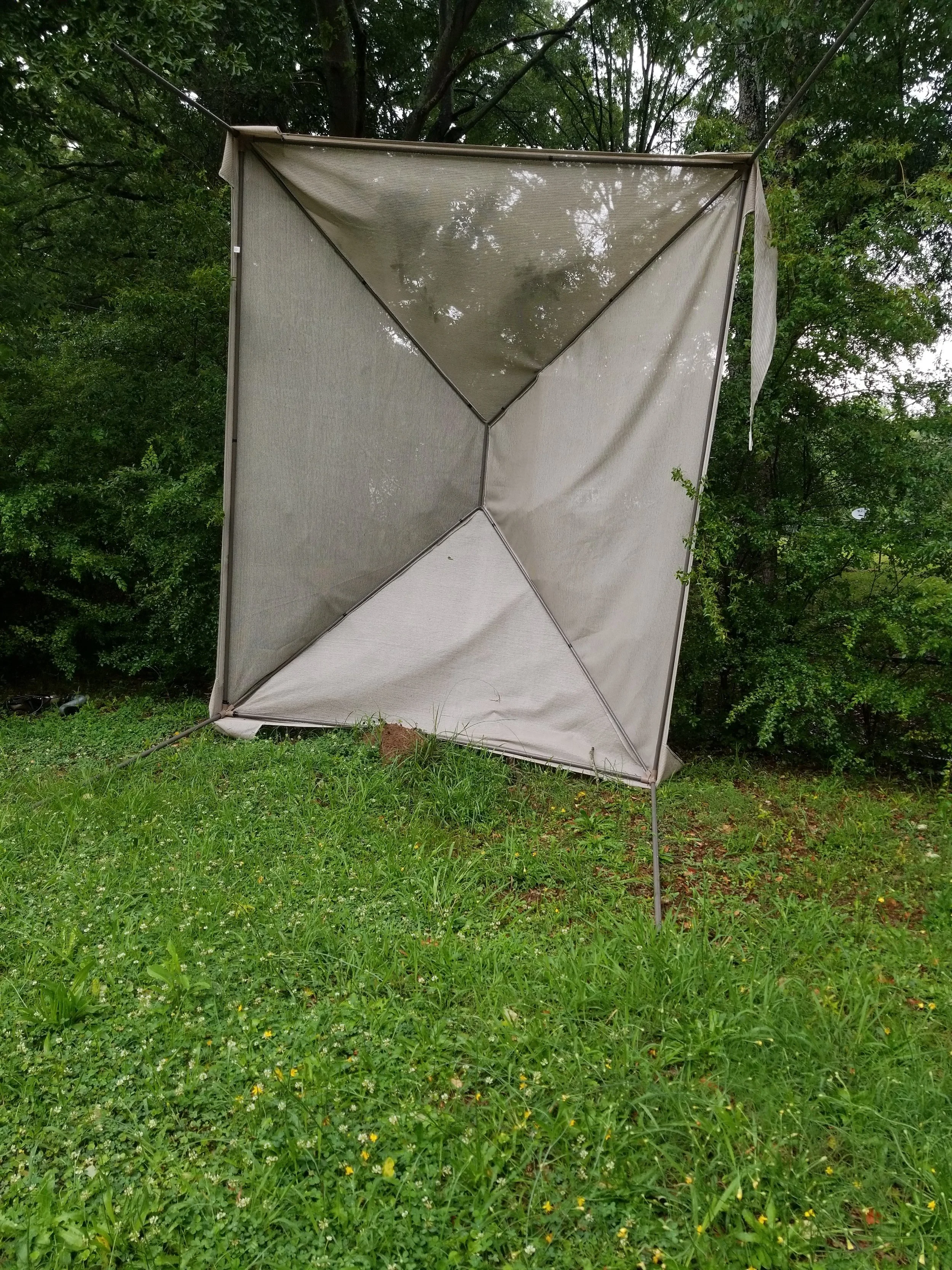 IMG_20180601_172029.jpg
