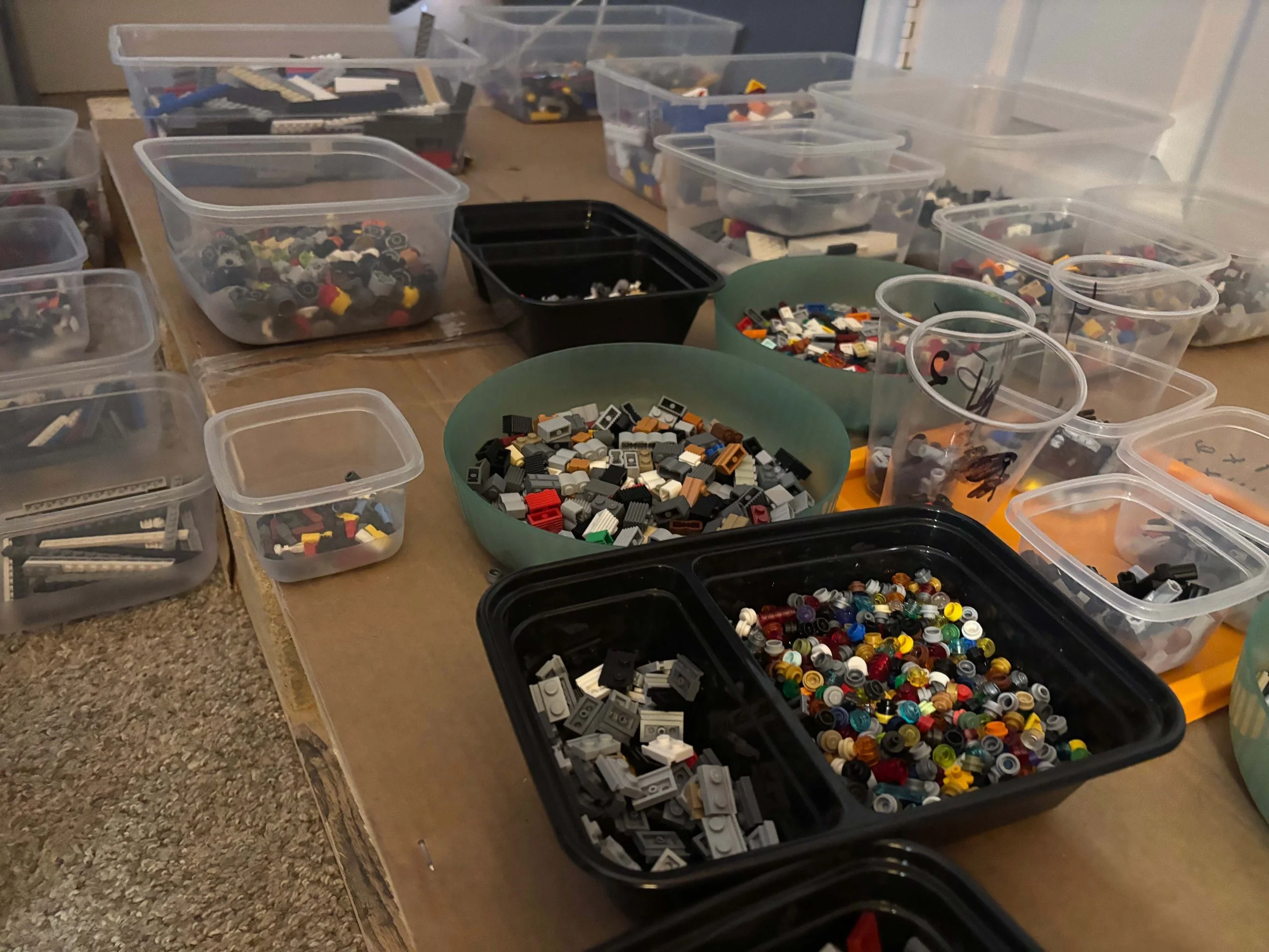 IMG_0082.jpg
