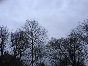 Have you Checked your Soundtrack?