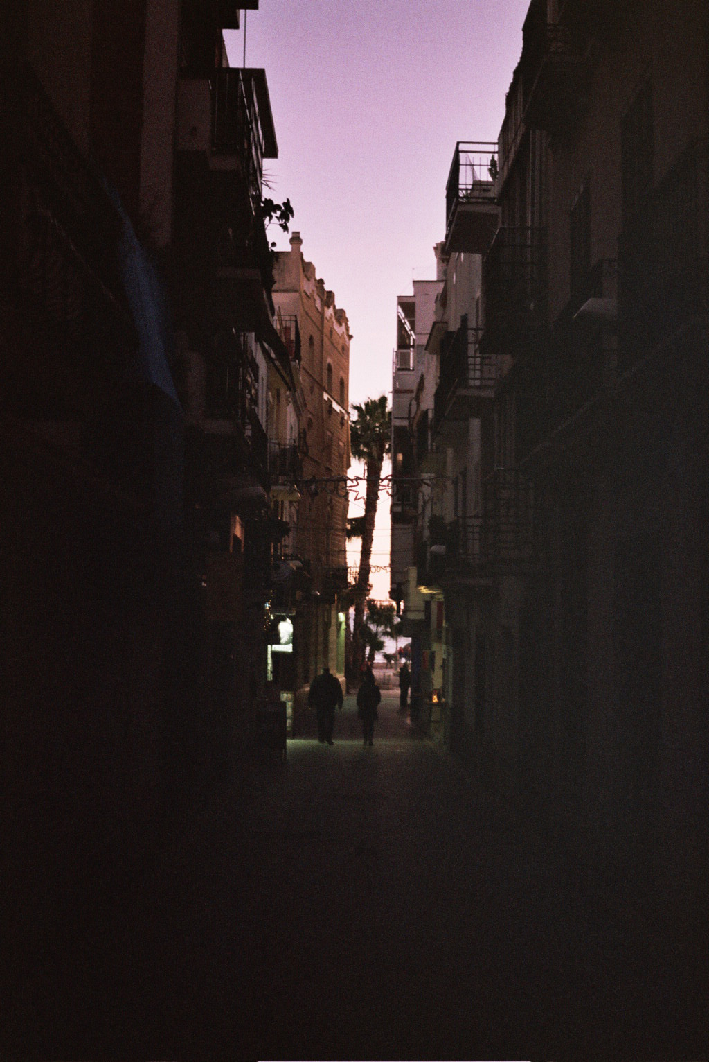 15A_0386.jpg