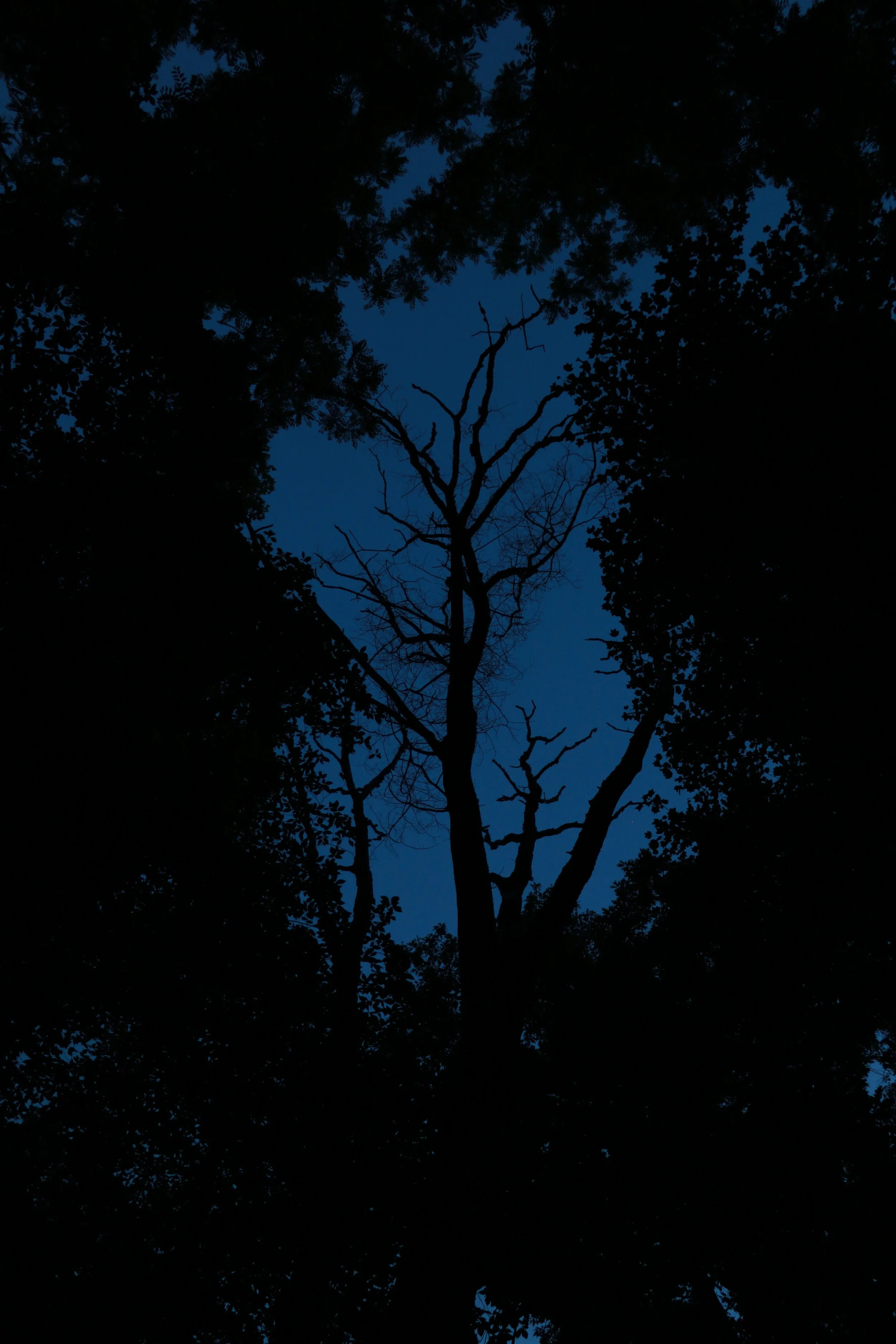 4D9A7741.JPG