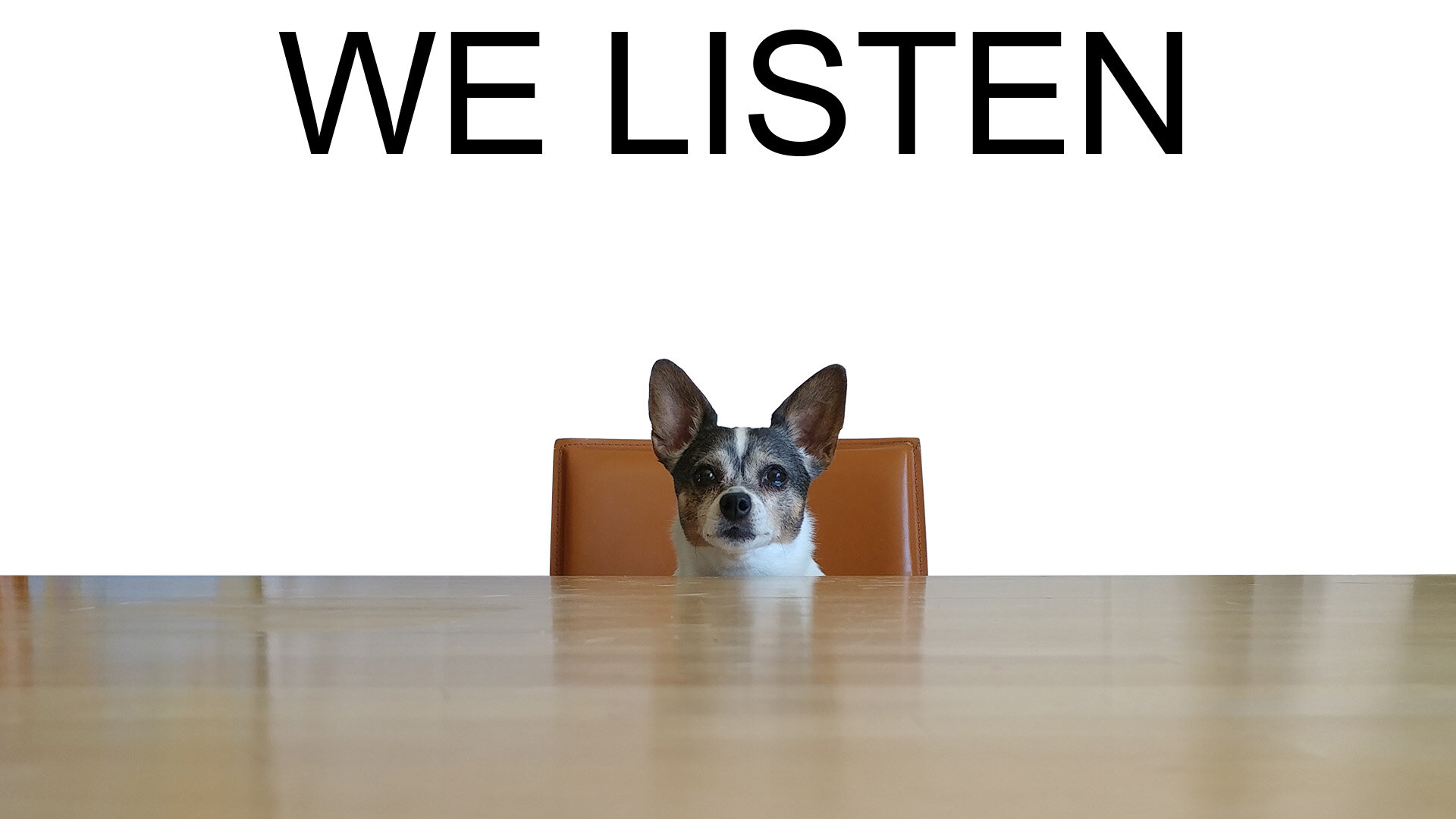 Pixie - Final_We Listen_2.jpg