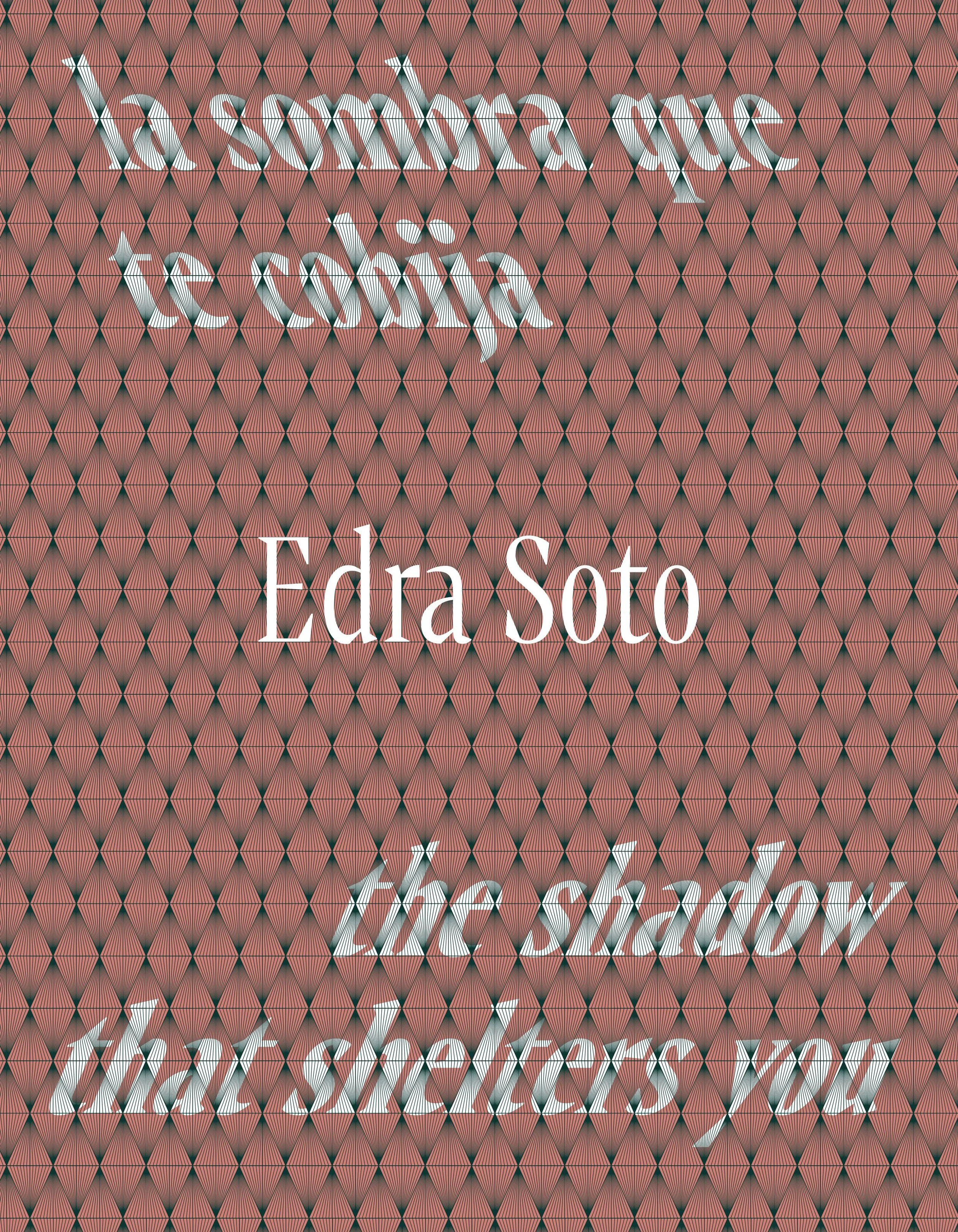 Edra Soto STRONGROOM_Publication_07_Print-images-0.jpg