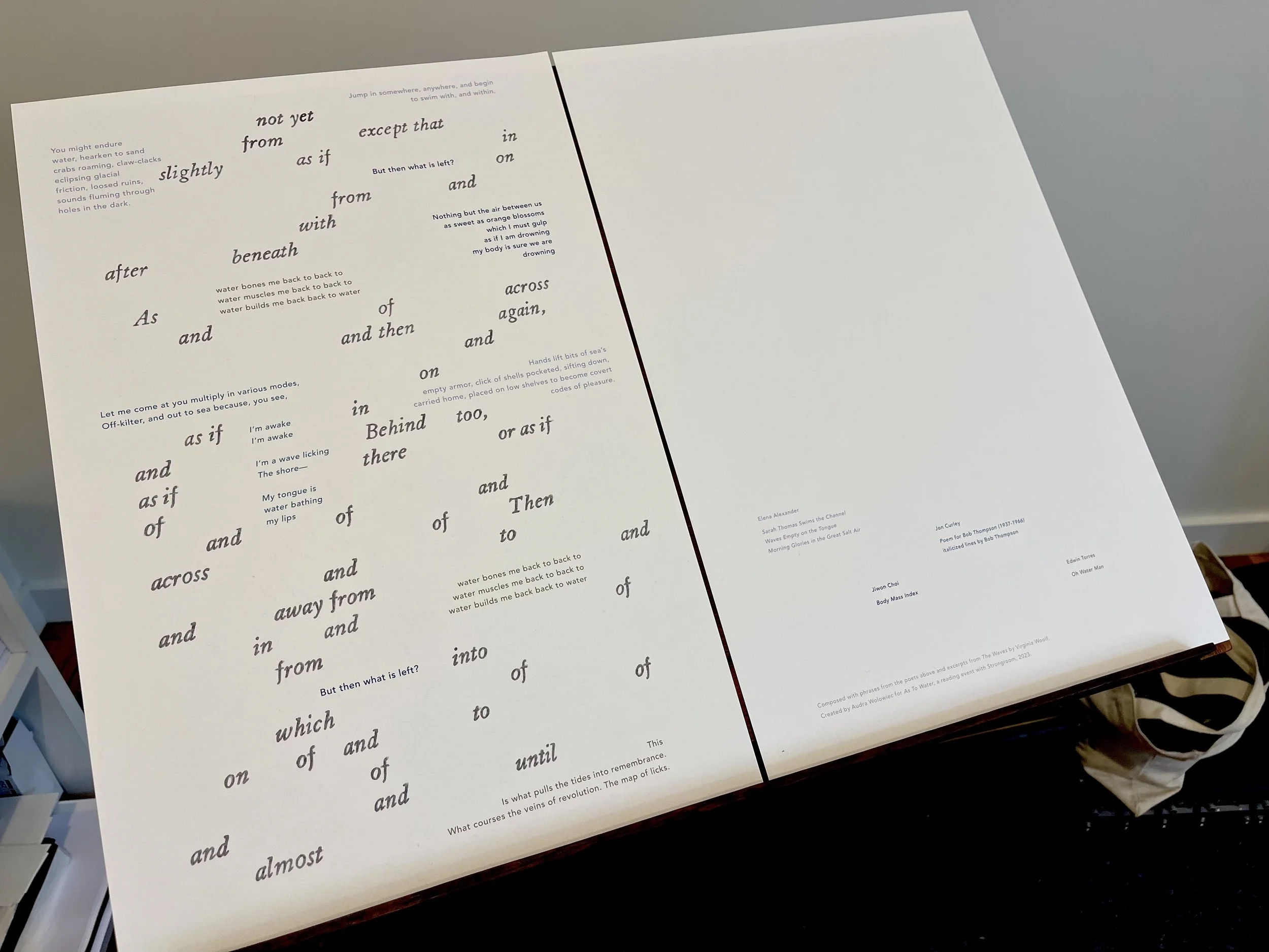 STRONGROOM_AUDRA WOLOWIEC_AS TO WATER PRINT.jpg