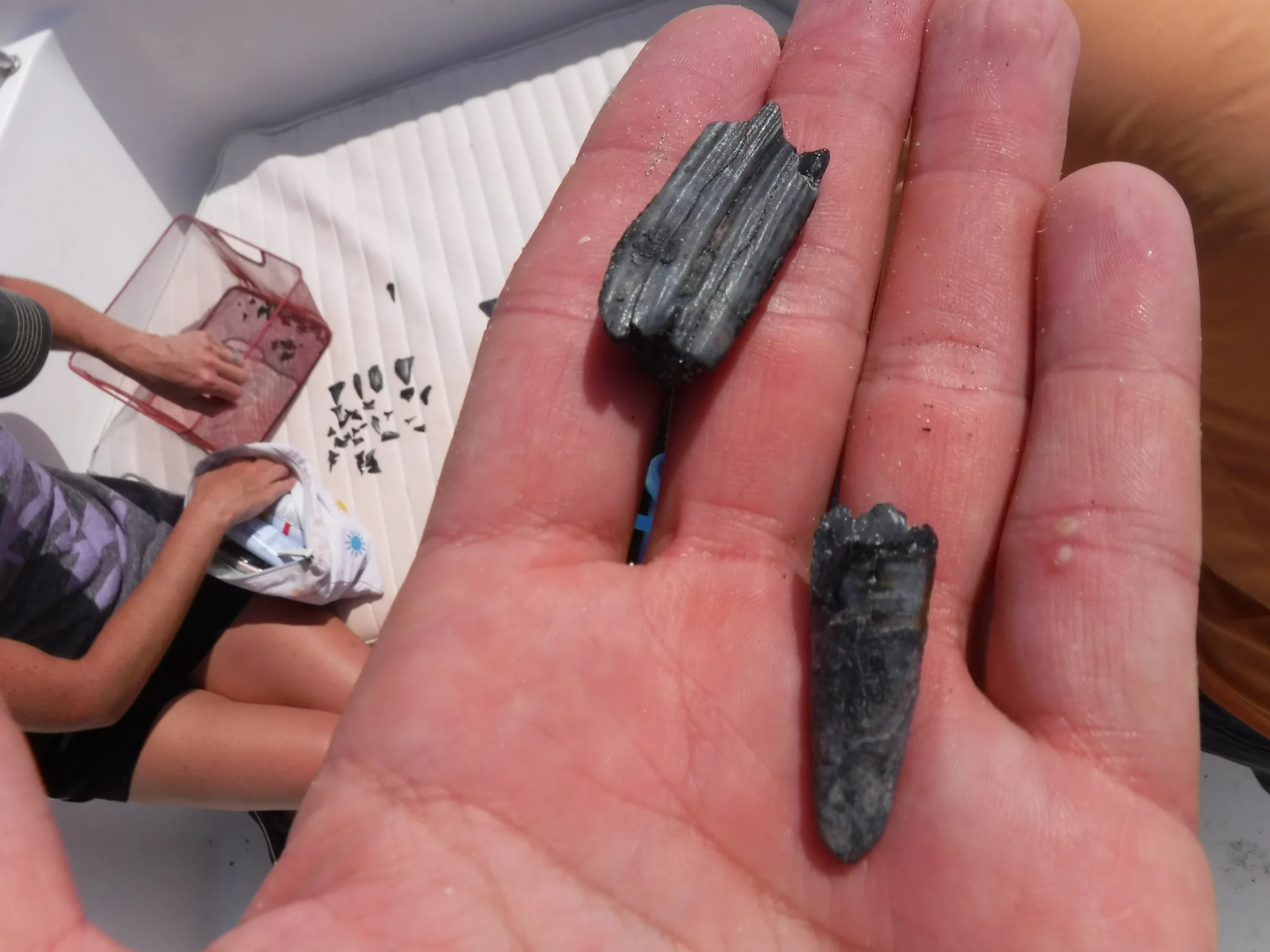 Fossilhunting CHRONICLES Native Son Adventures