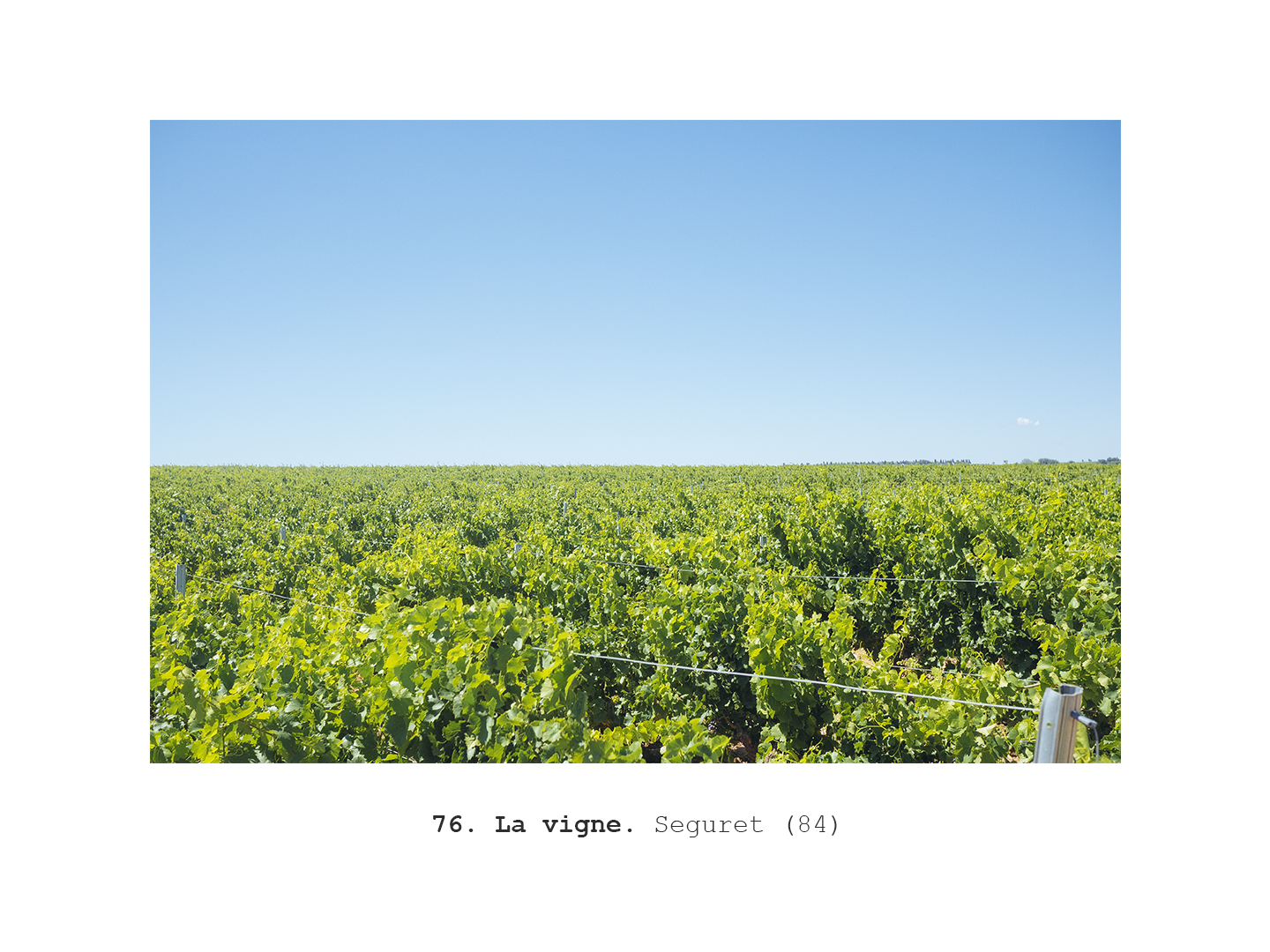PAGE 76.jpg