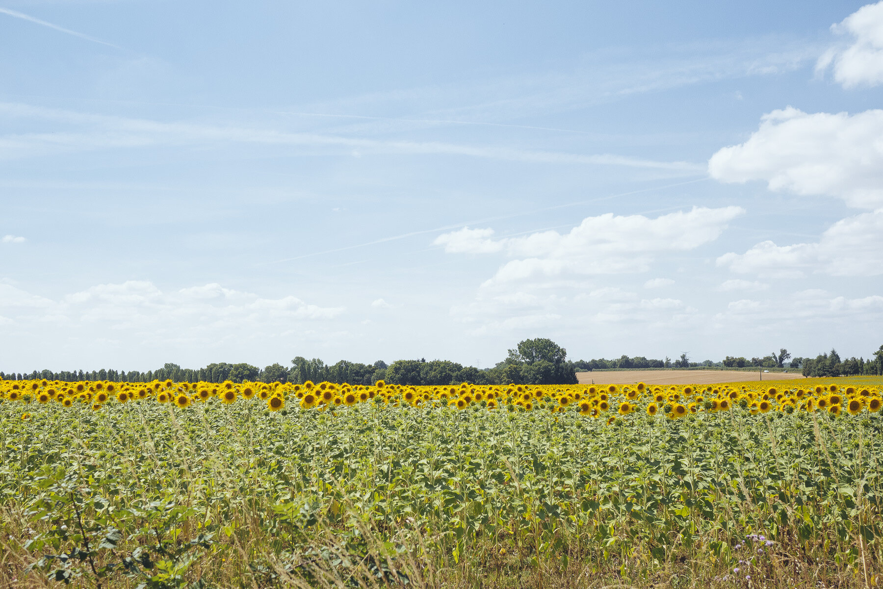 Été