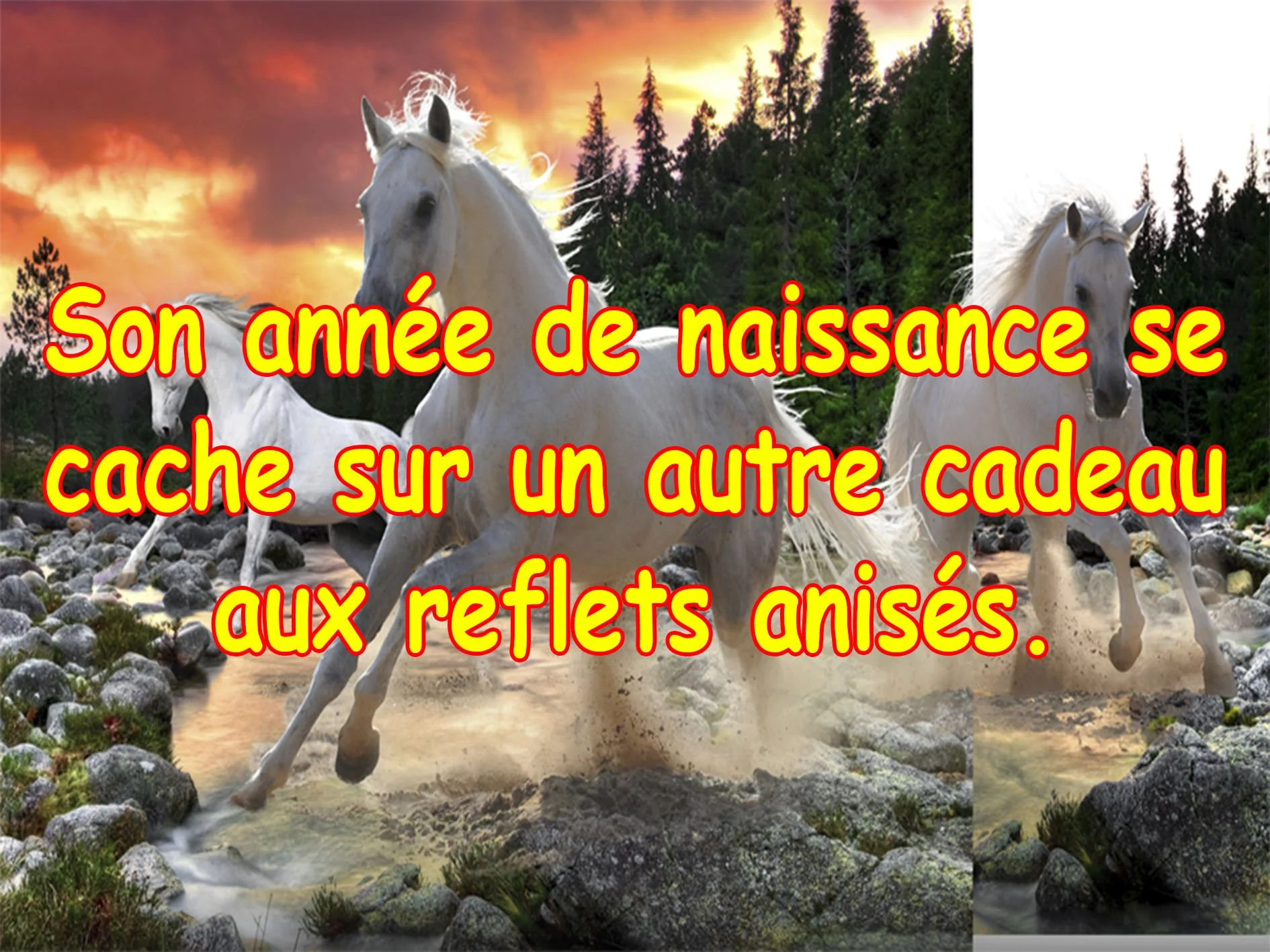 Indice 1.jpg
