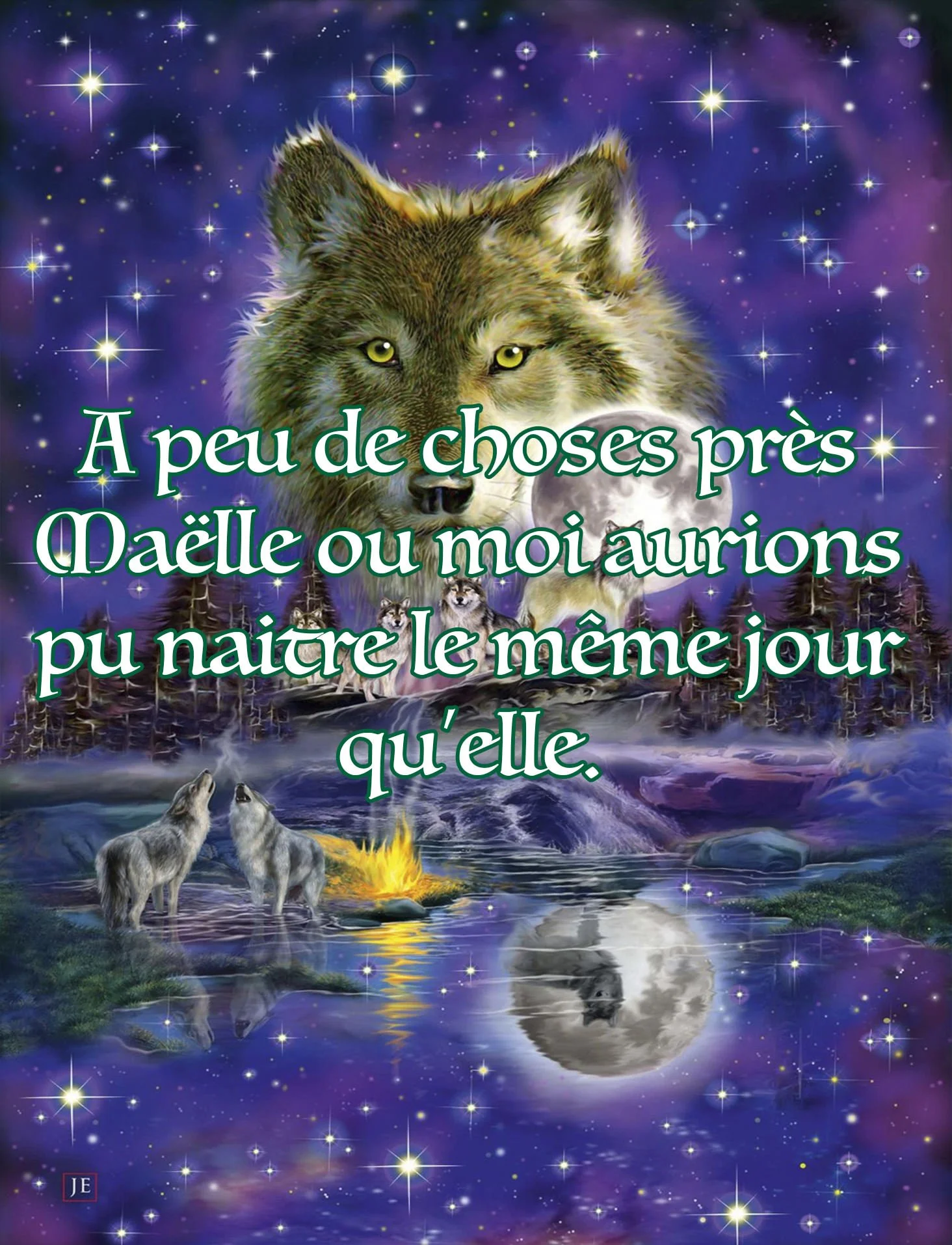 indice loup.jpg