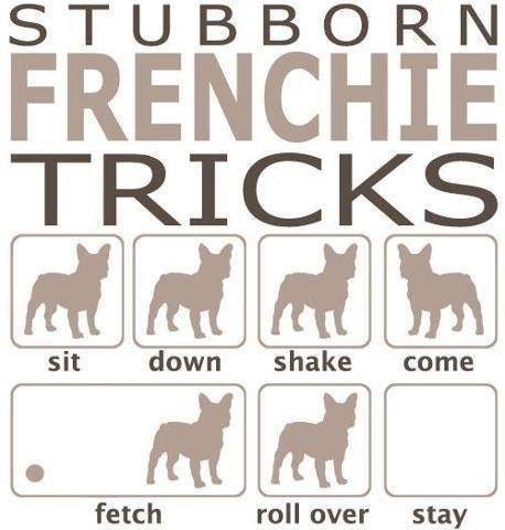Frenchie Tricks.jpg