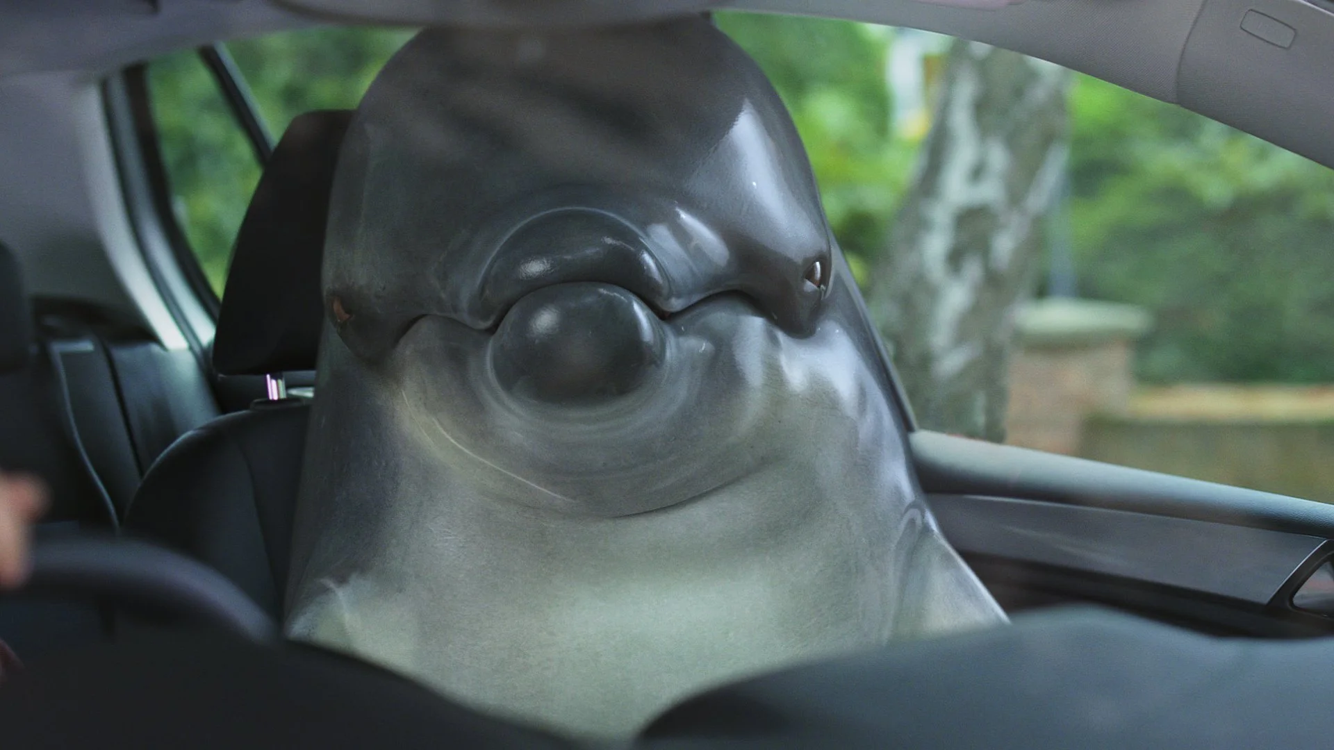 zipcar_still2.jpg