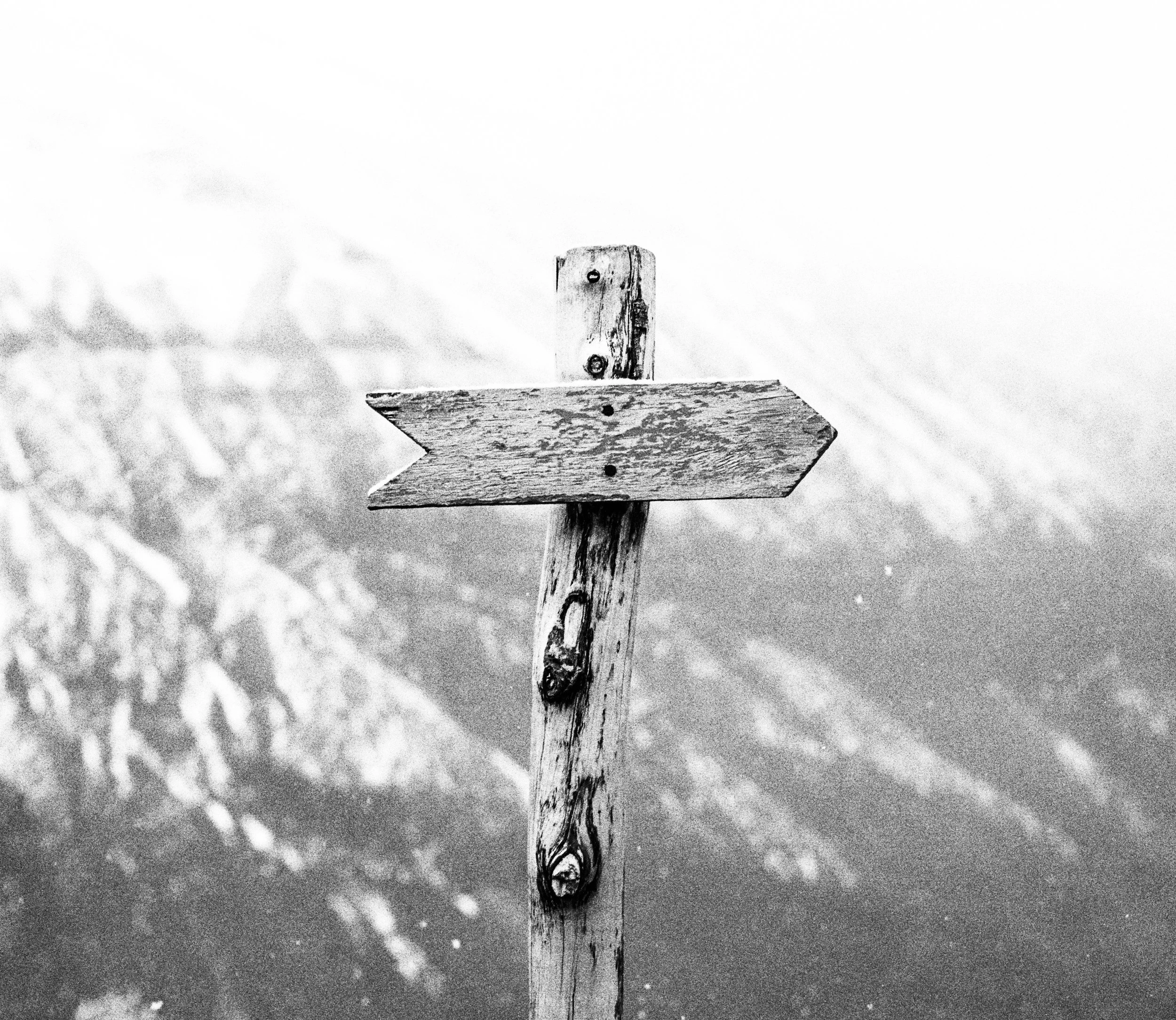 Journey to Purpose with Naana.jpg