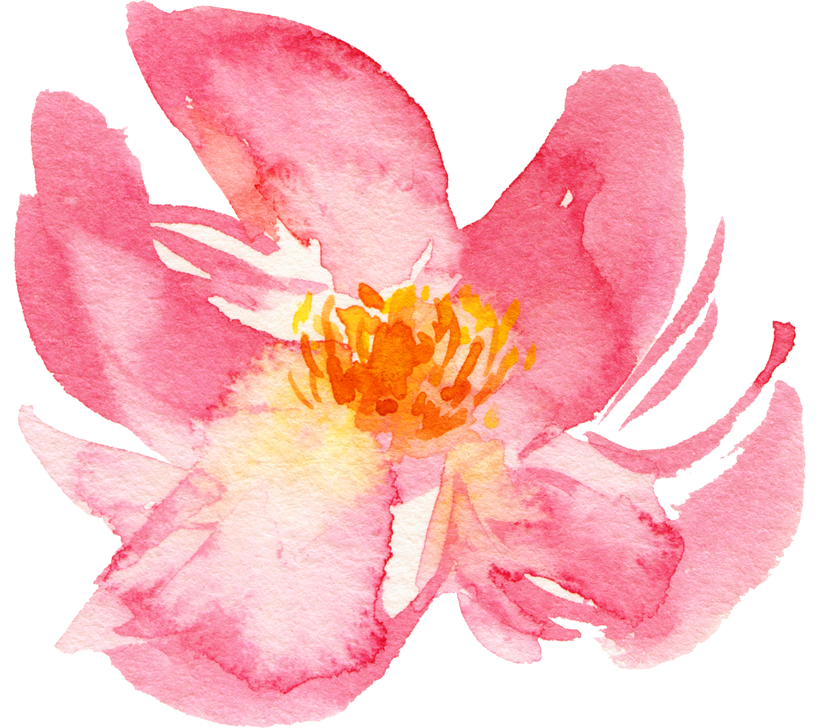 flower Naana.png